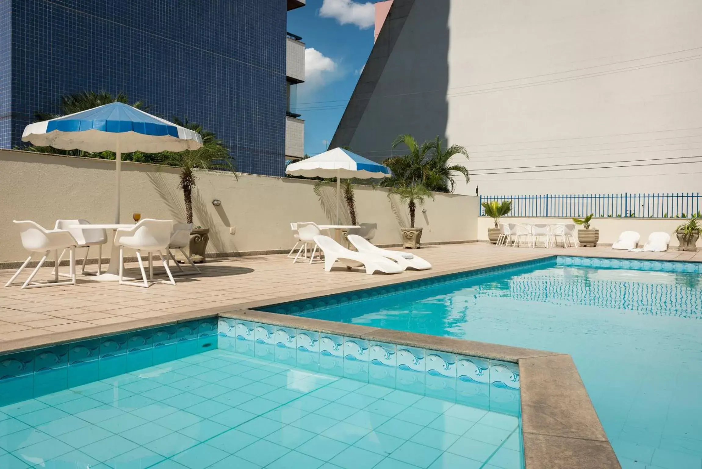 Swimming Pool in Hotel Executive Arrey