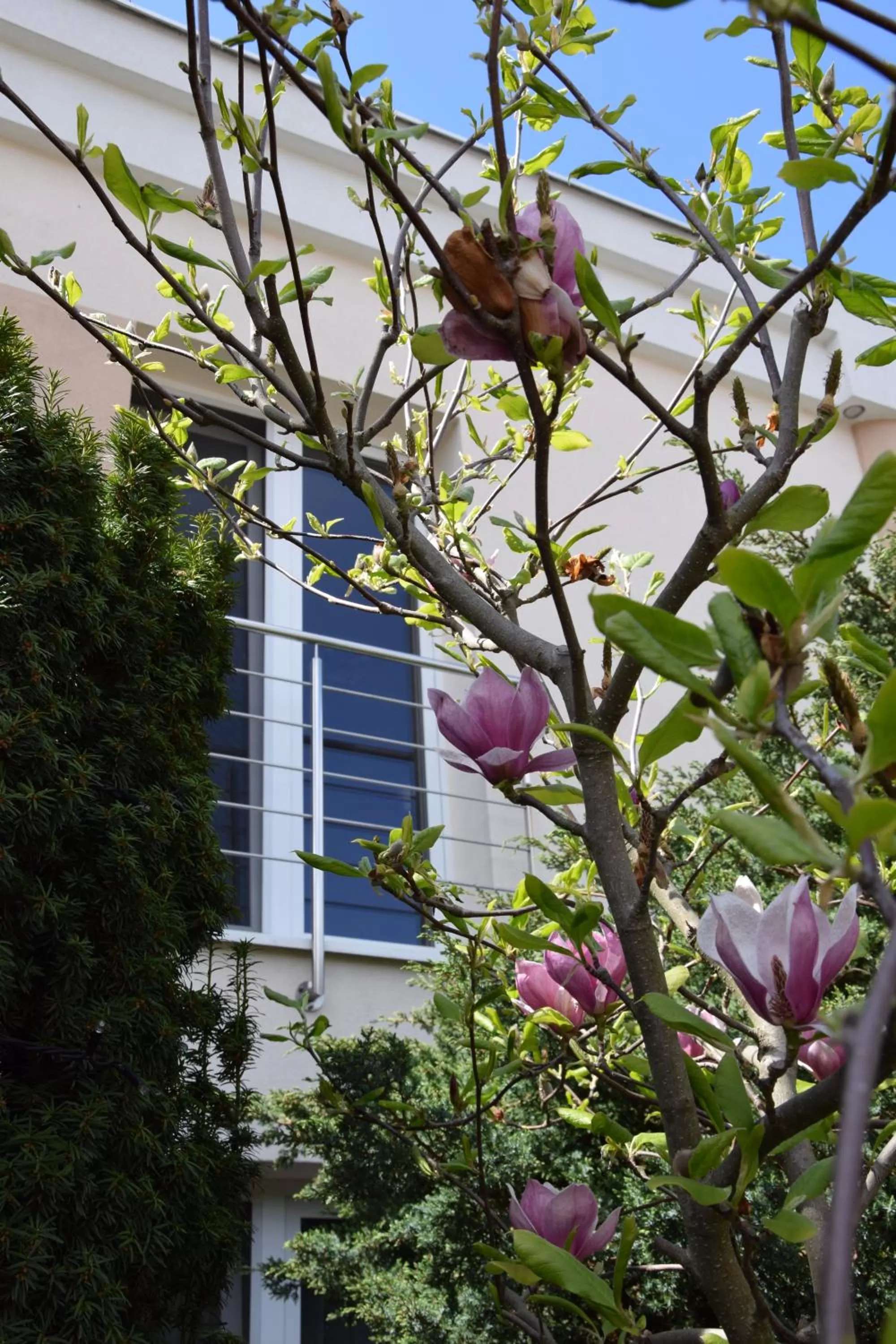 View (from property/room) in Hotel Boss