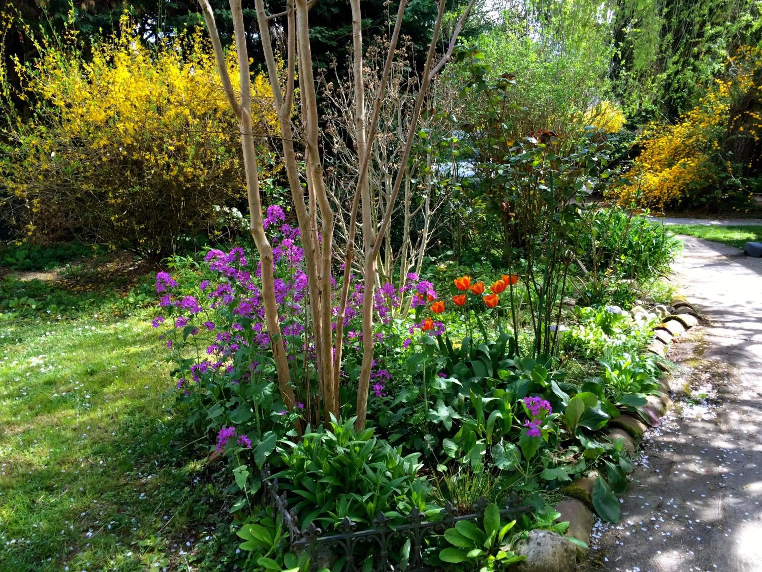 Garden in La Ferme de Thoudiere