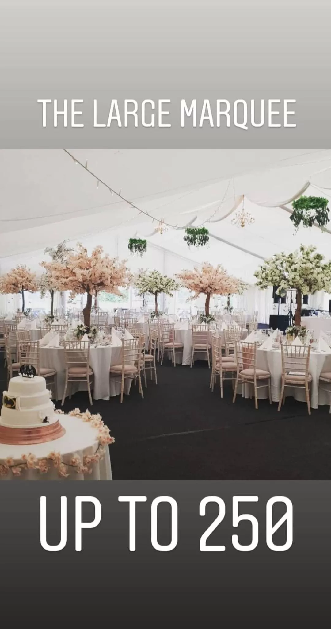 Evening entertainment in The Royal Arms Bed & Breakfast