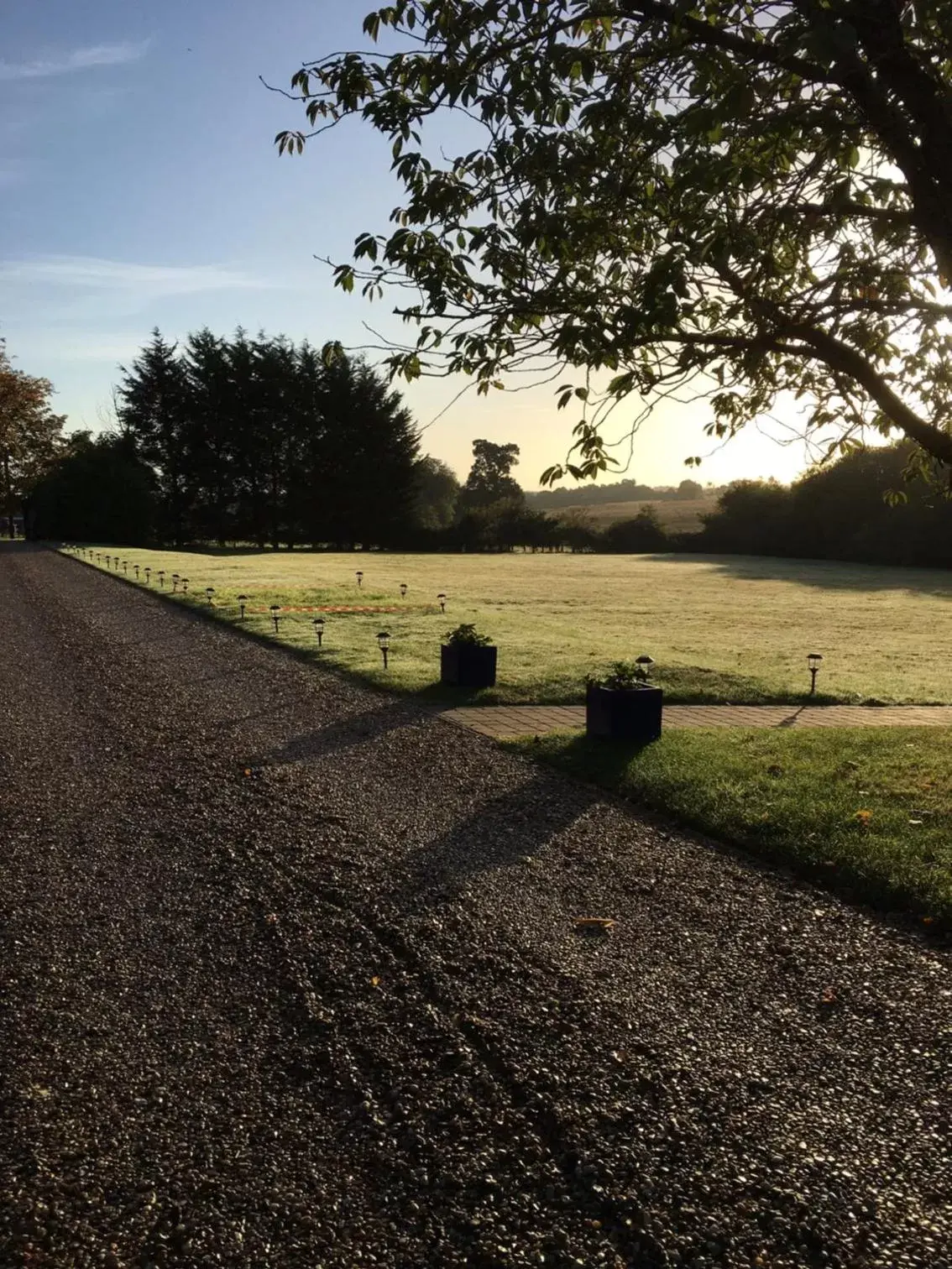 Garden in Sturmer Hall Hotel and Conference Centre