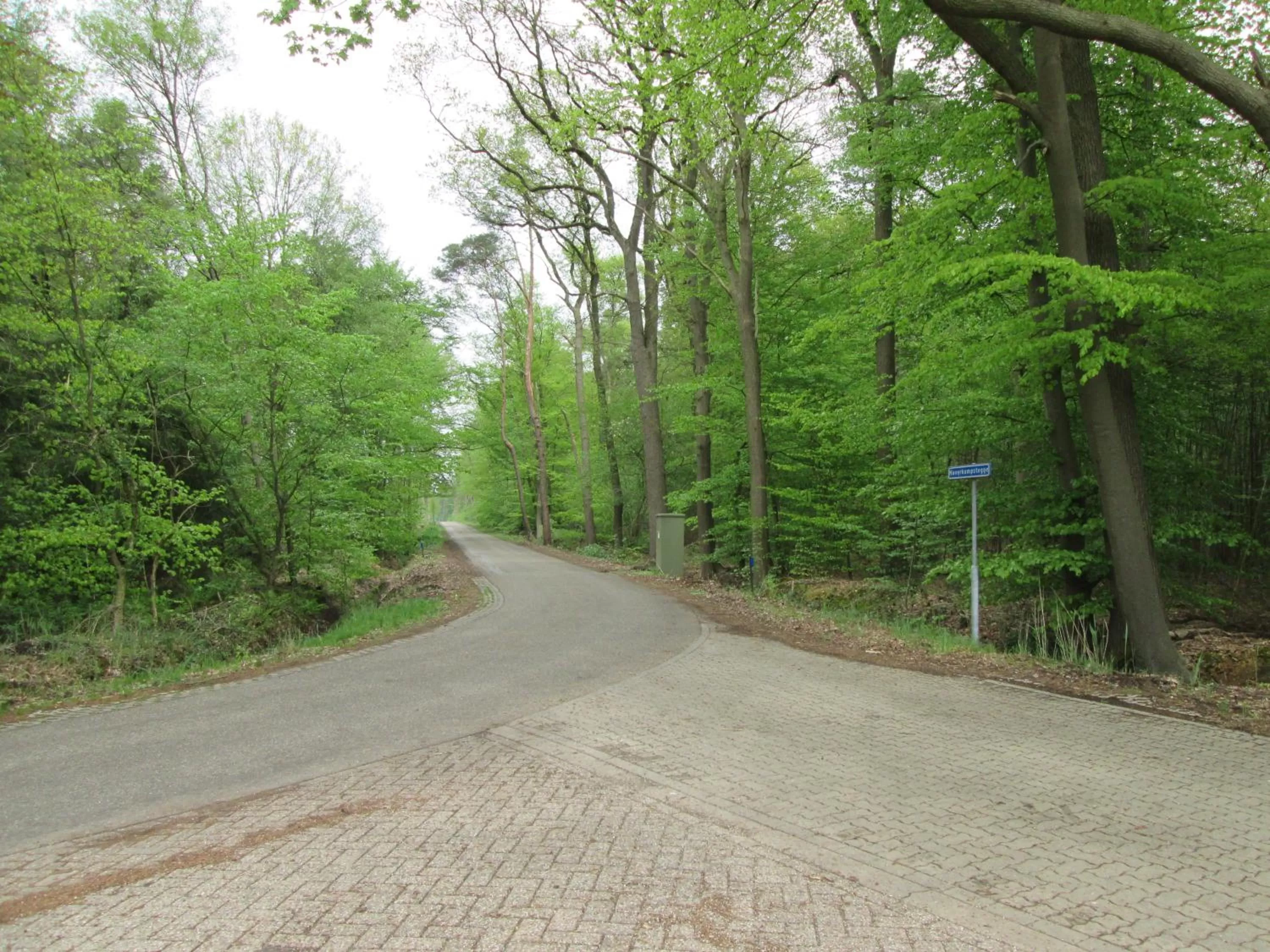 Neighbourhood in Veenemaat