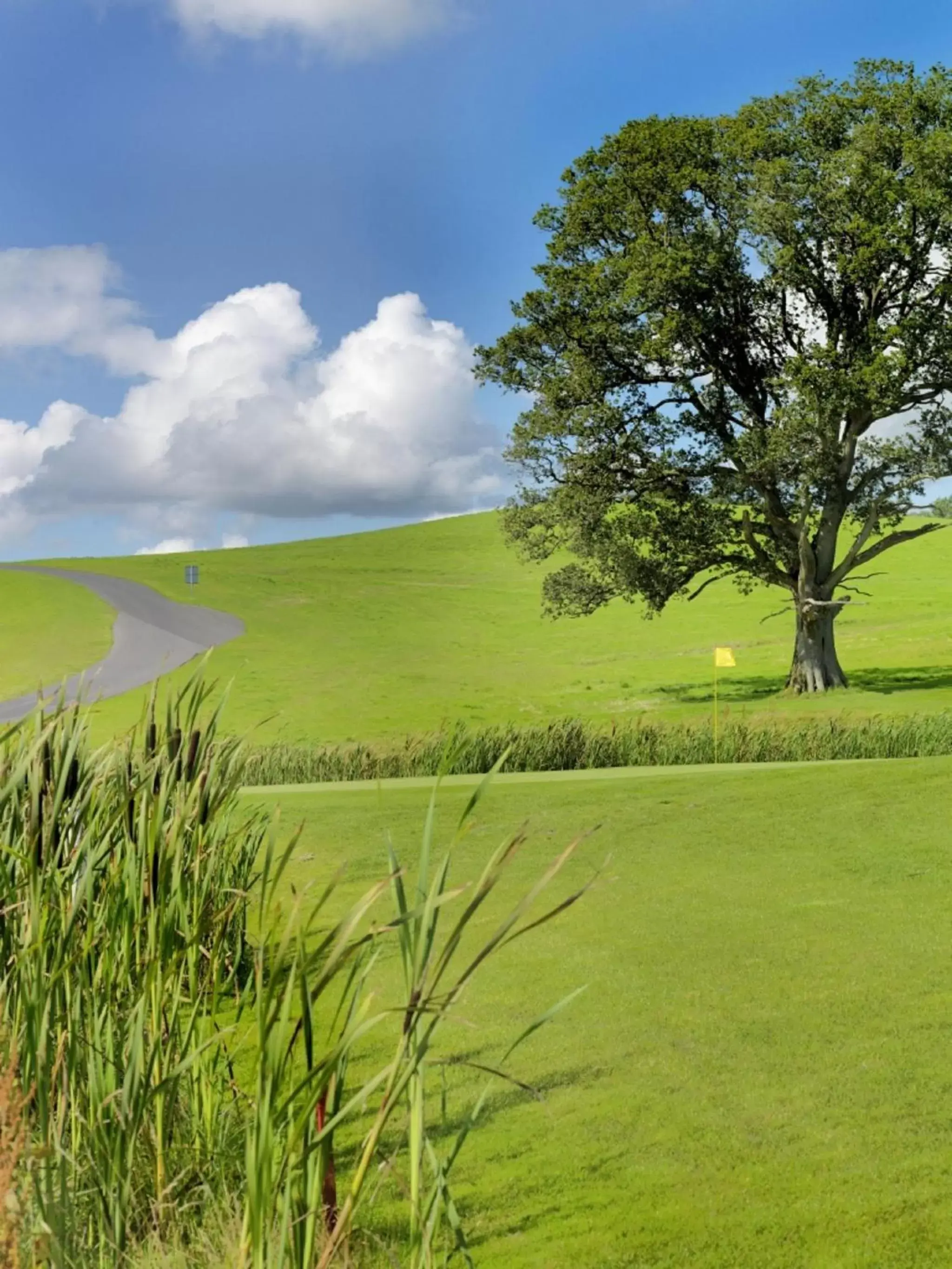 Natural landscape in Farnham Estate Spa and Golf Resort