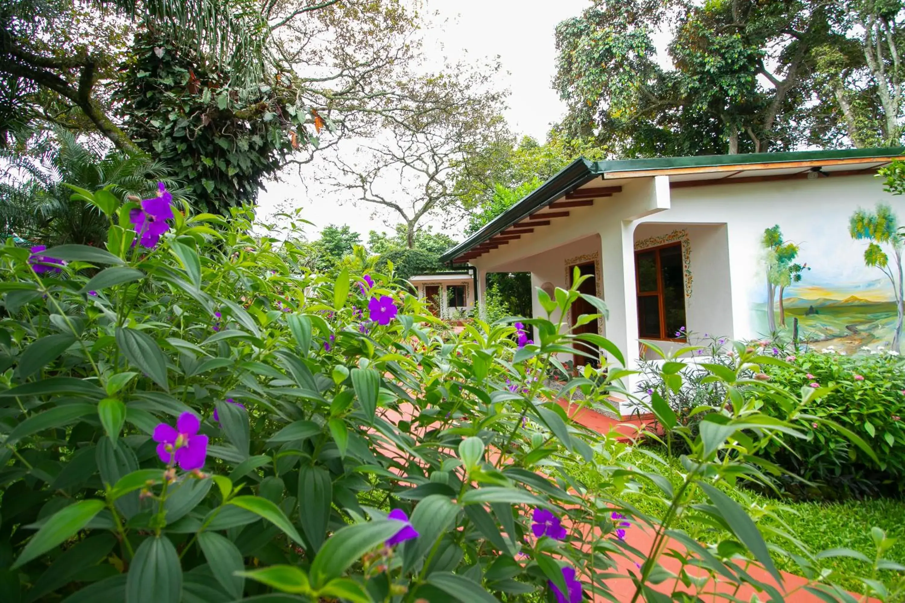 Facade/entrance, Property Building in Hotel La Rosa de America