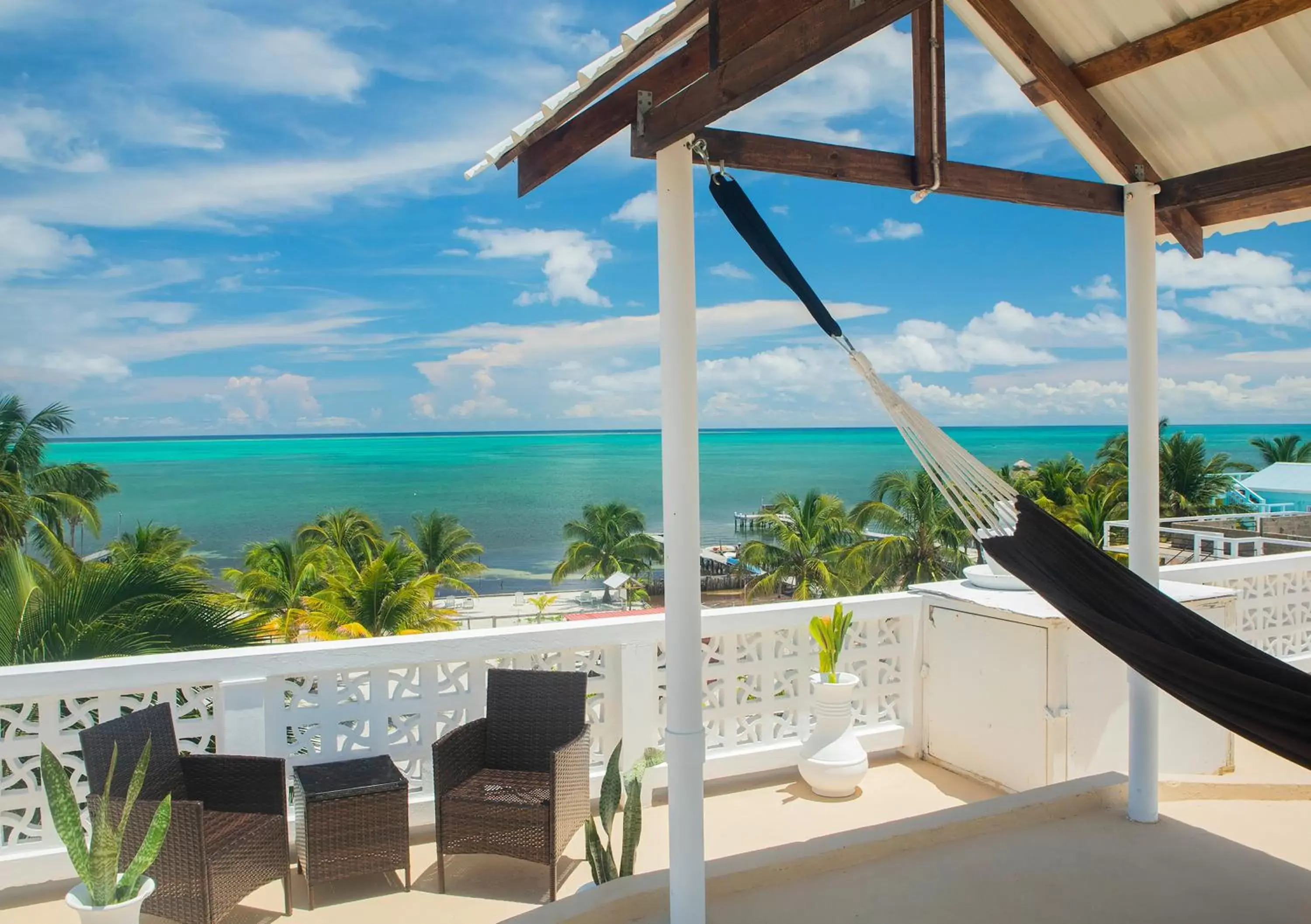 Balcony/Terrace in Treetops Hotel