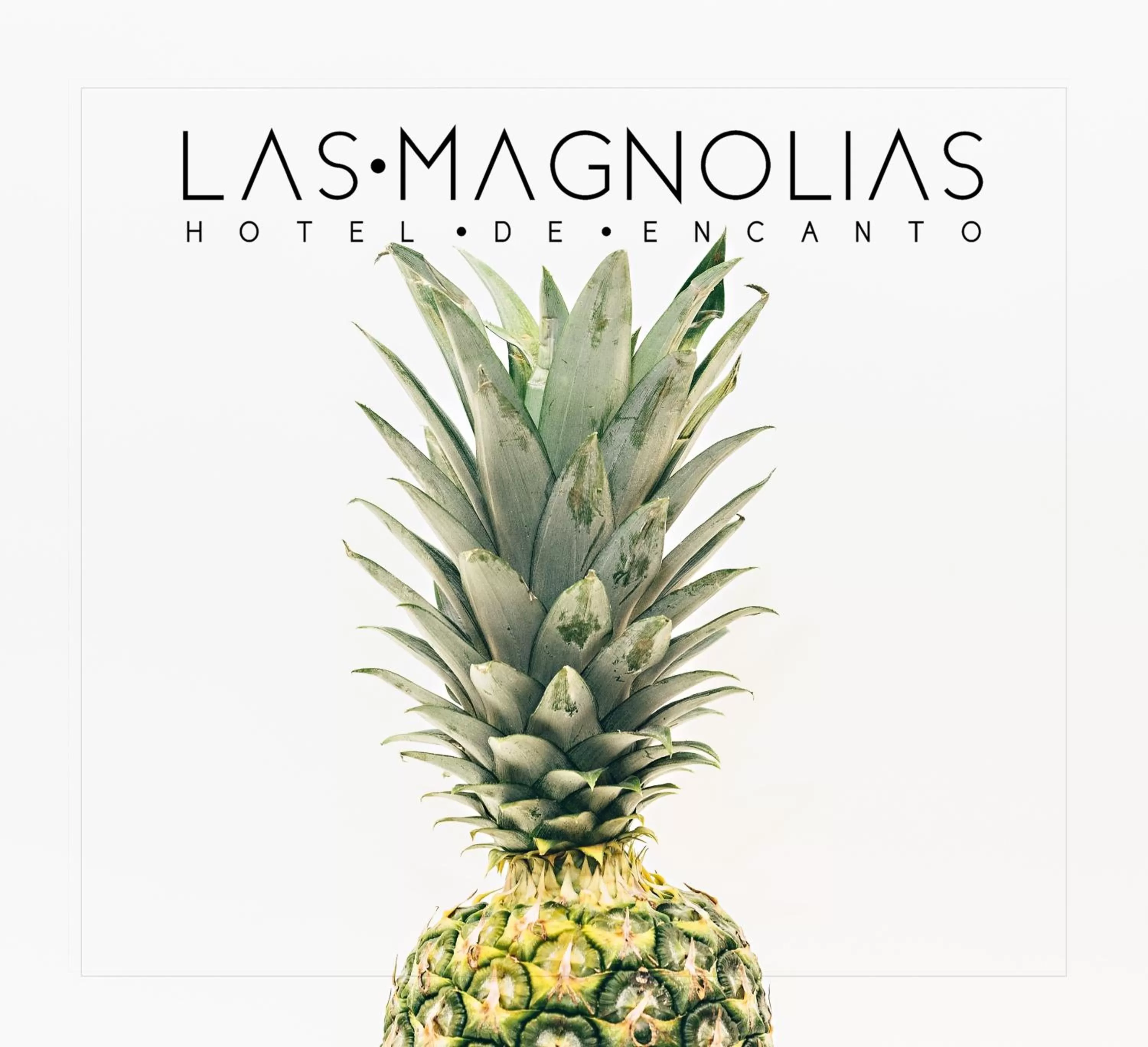 Las Magnolias Hotel Boutique