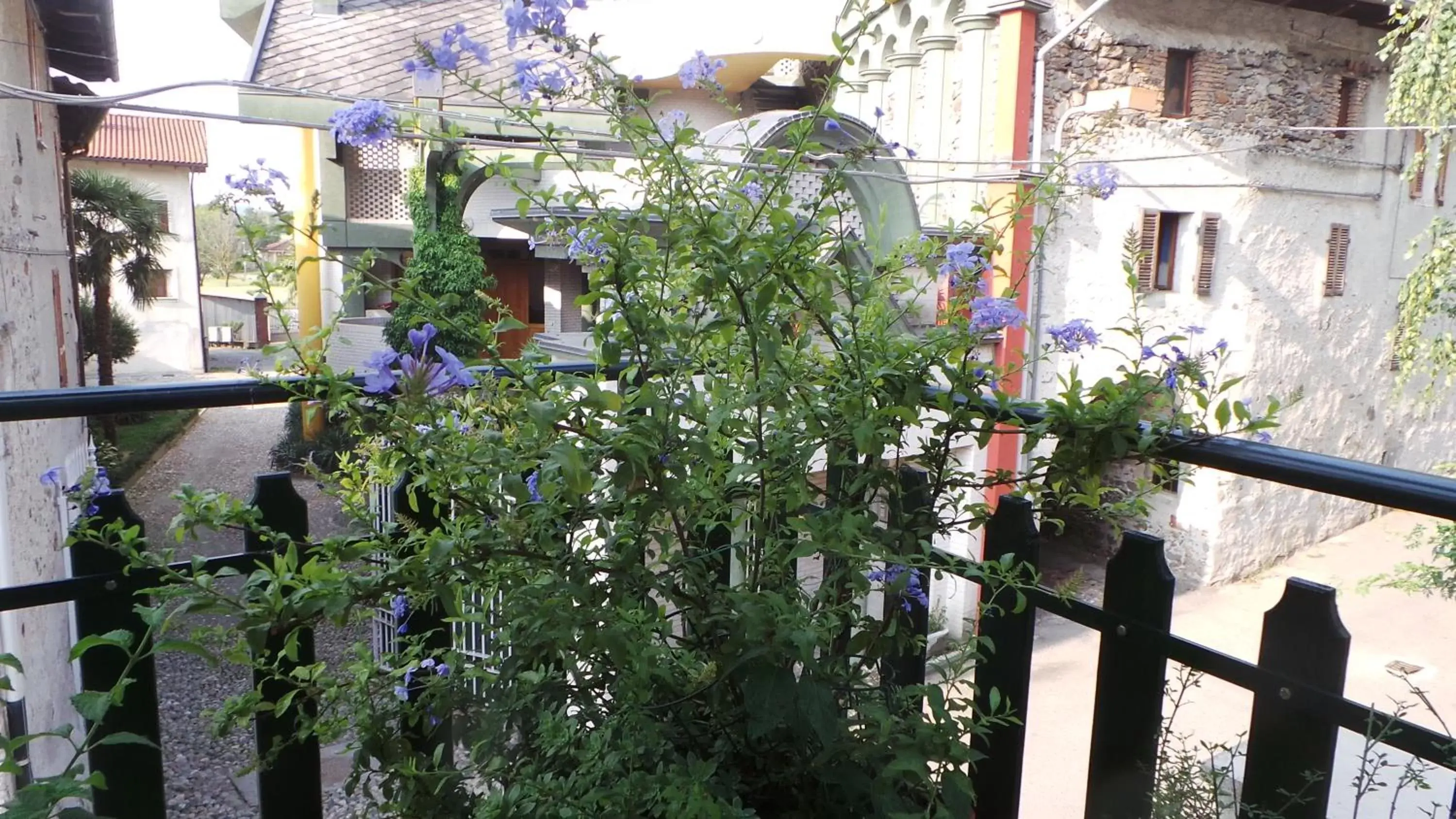 Balcony/Terrace in B&B La Rampichina