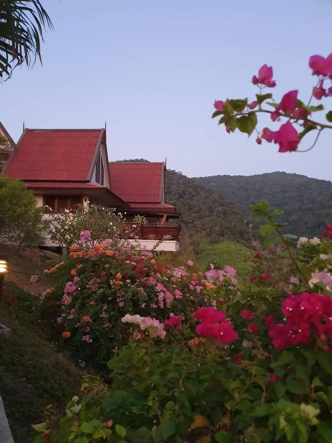 Garden in Baan KanTiang See Villas - SHA Extra Plus