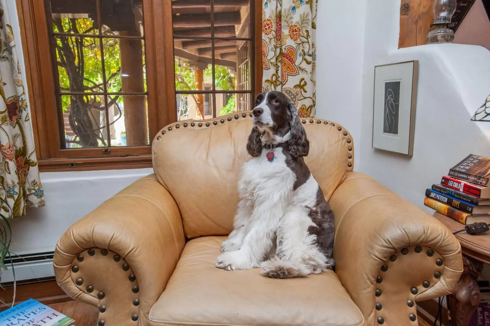 Pets in Inn on La Loma Plaza