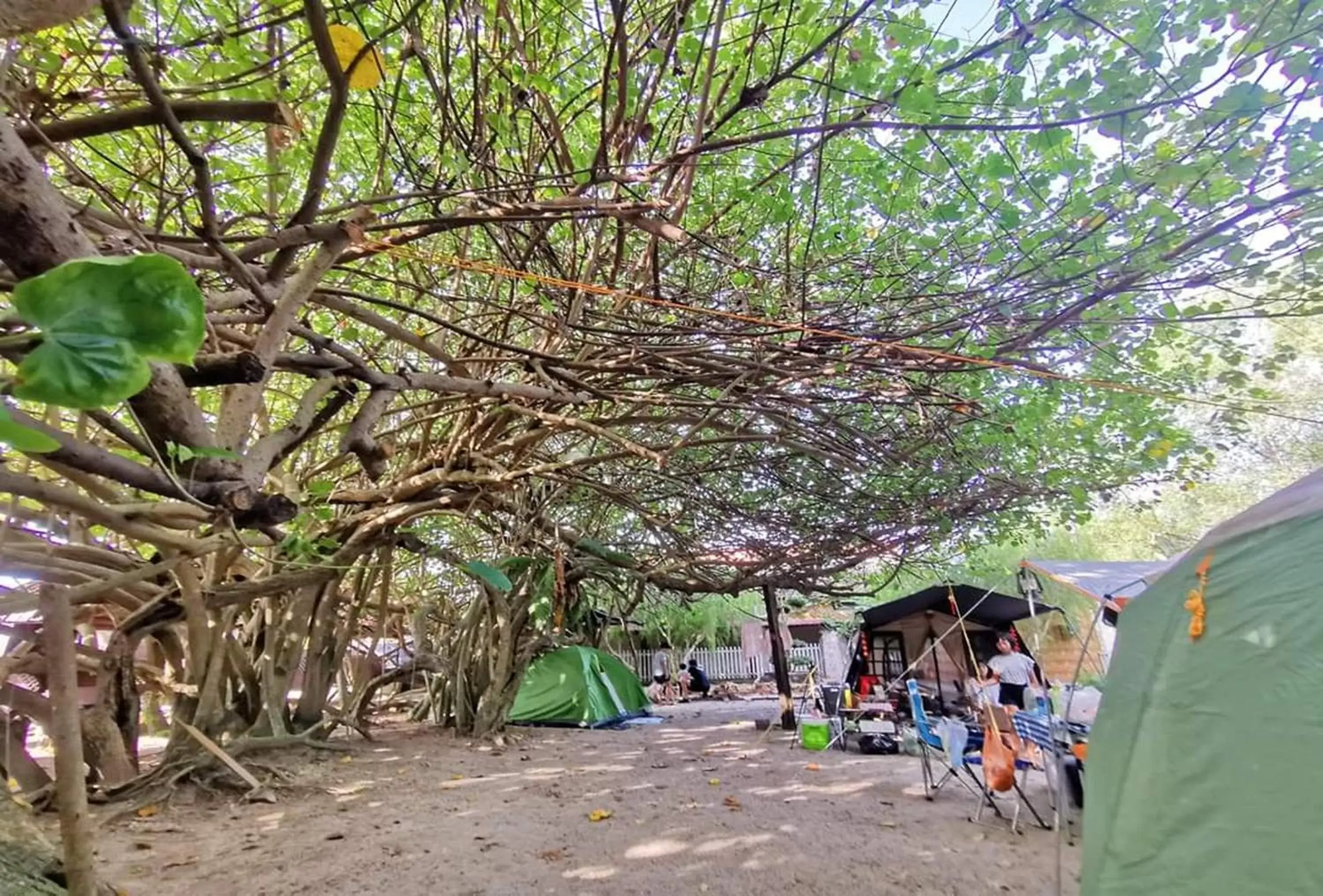 Garden in Sabak Awor Resort