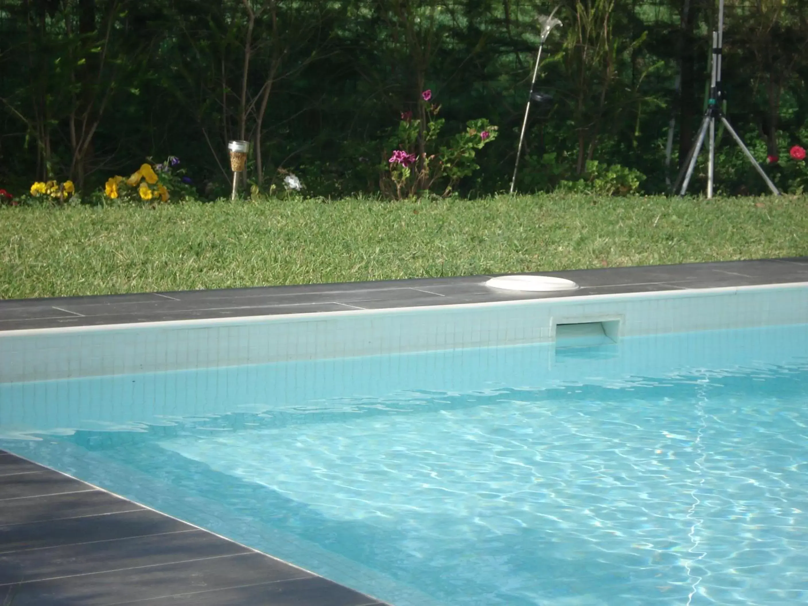 Swimming Pool in Tavira independent suite with Pool at Casa Reflexos