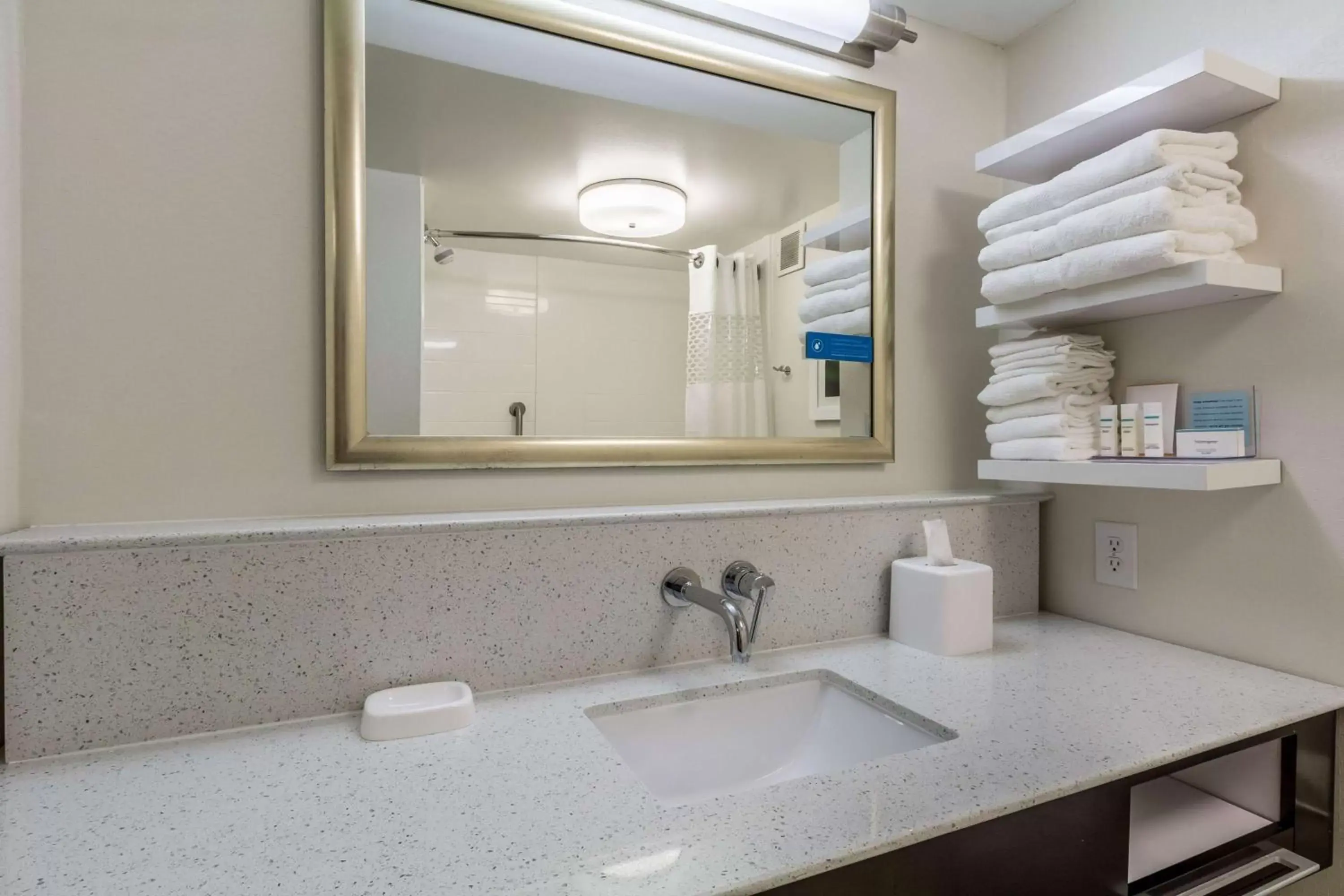 Bathroom in Hampton Inn Jackson Pearl Intrntl Airport