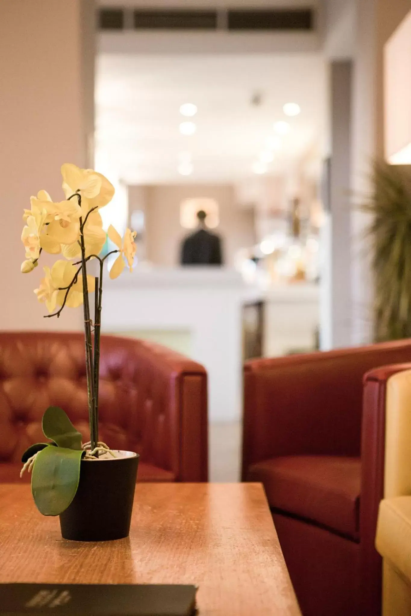 Decorative detail, Lounge/Bar in The Bannatyne Spa Hotel
