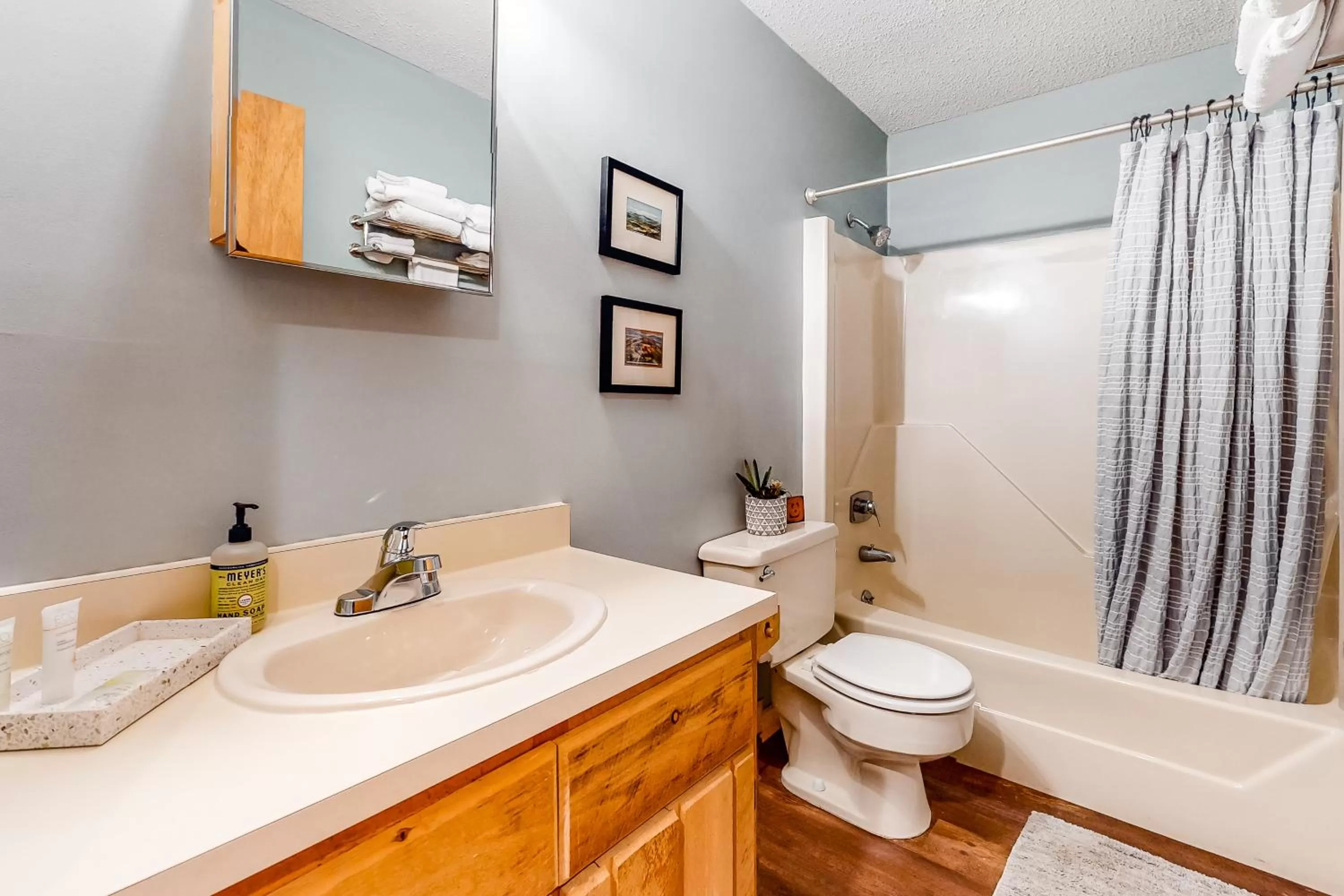 Bathroom in Mountain View Home