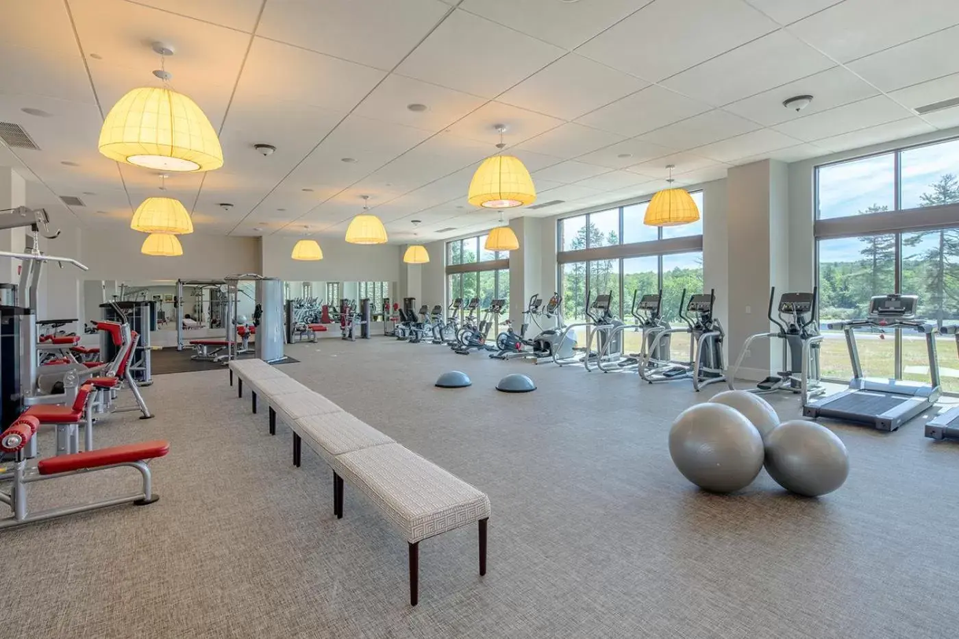 Fitness centre/facilities, Fitness Center/Facilities in YO1 Longevity & Health Resorts, Catskills