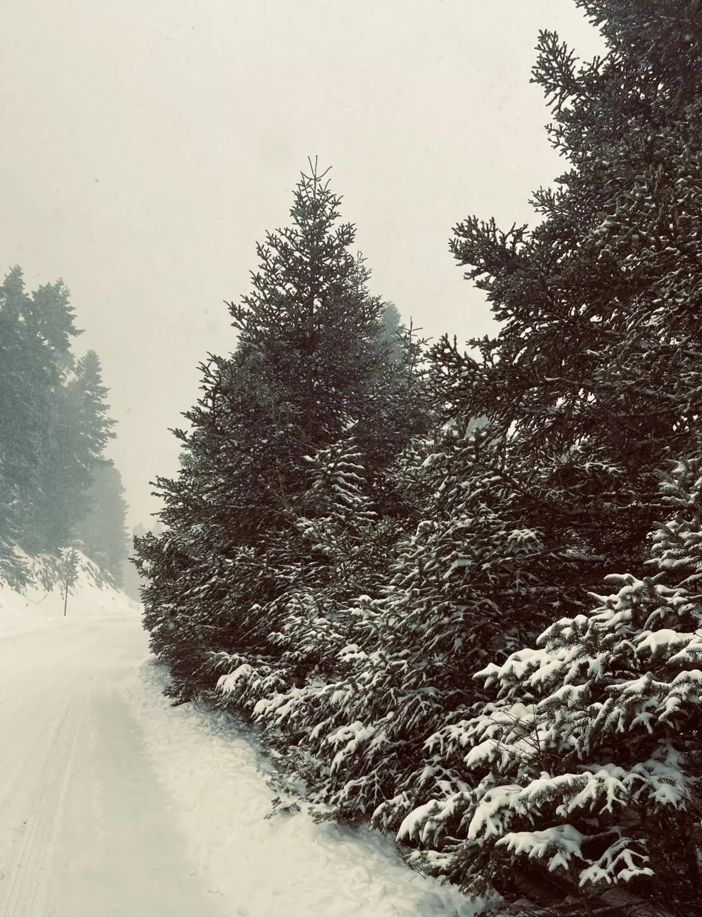 Natural landscape, Winter in Parnassos Snow Hill Chalet