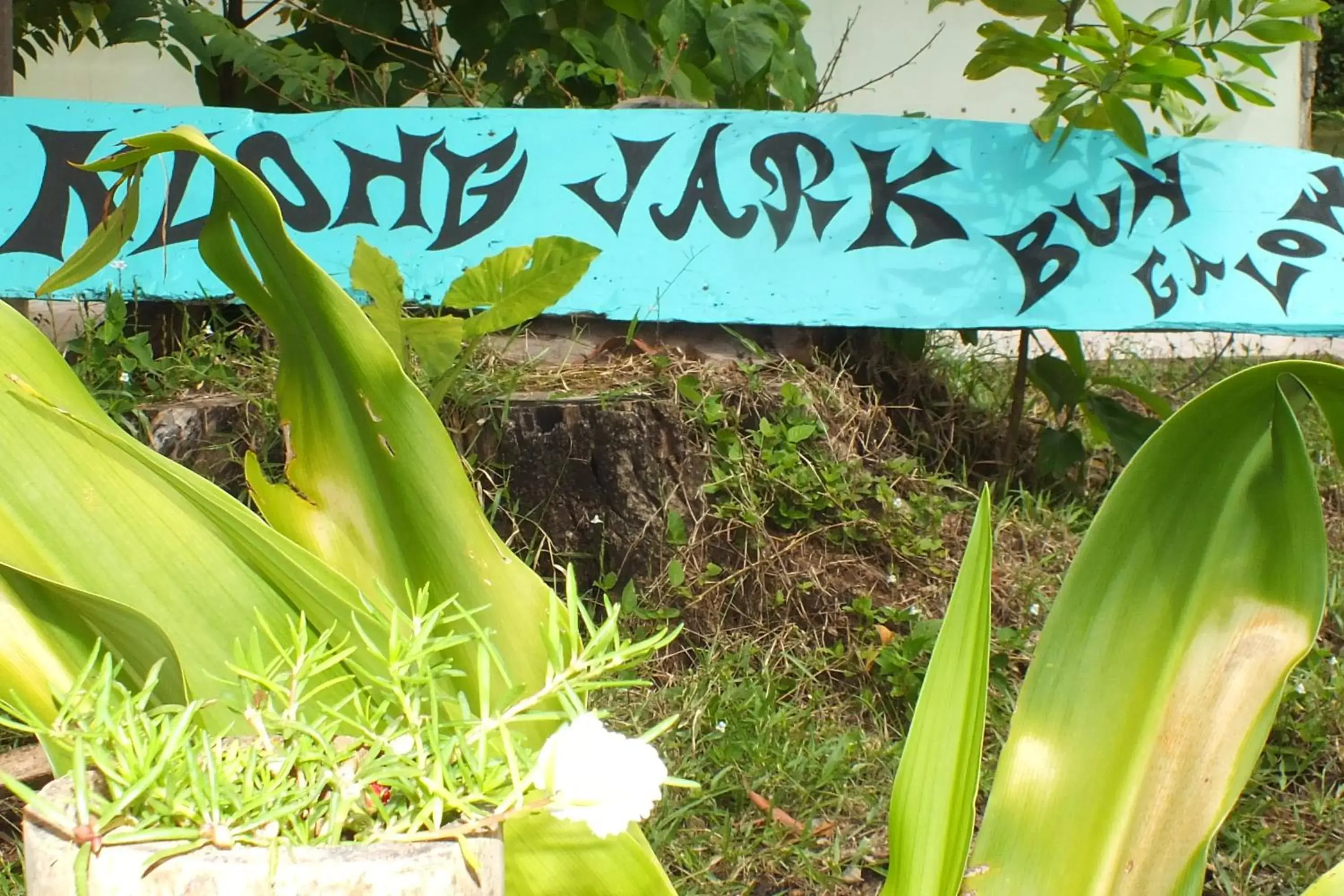 Garden view in Klong Jark Bungalow (SHA Certified)