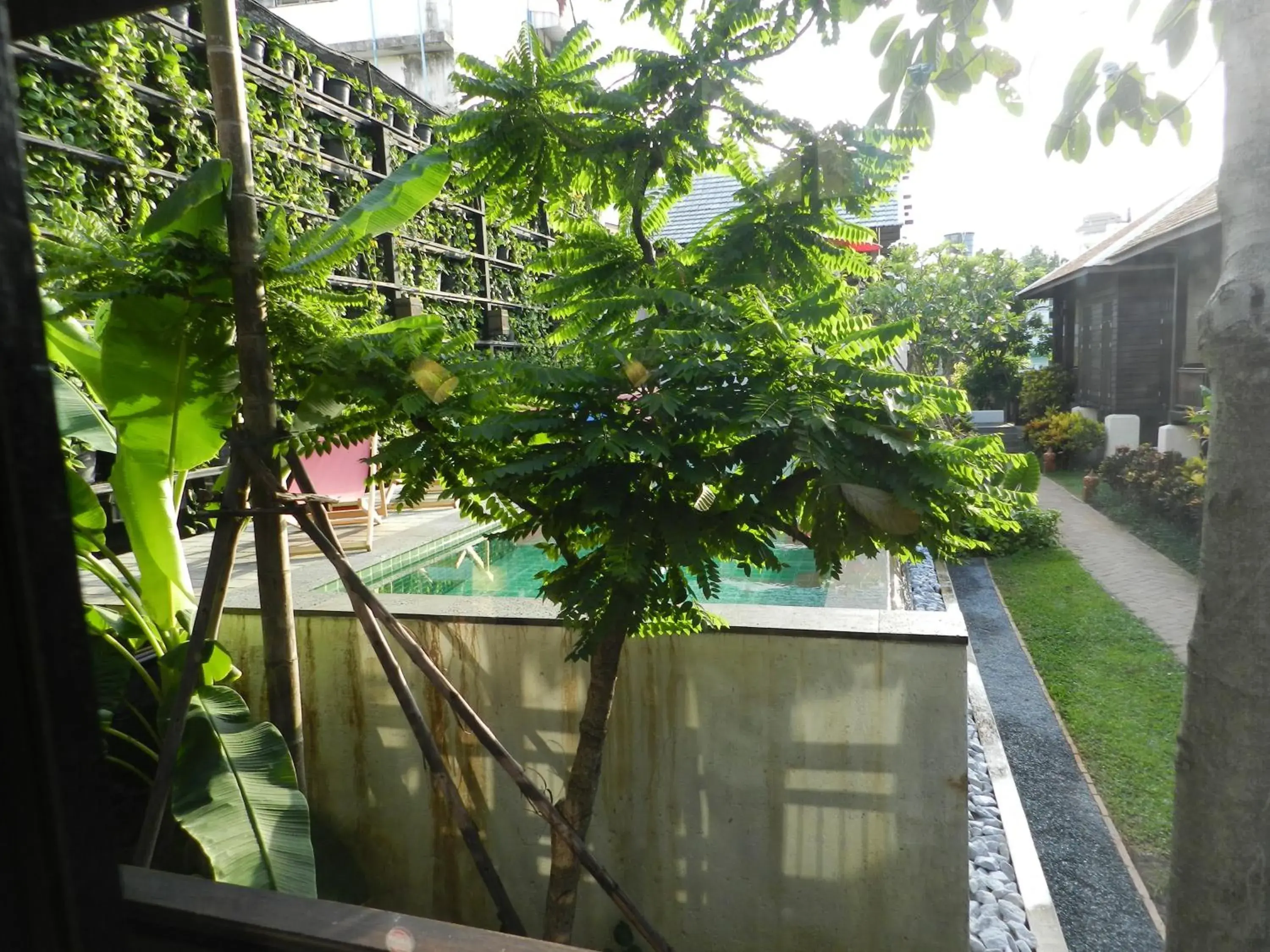 Swimming pool in Baan Saen Fang Chiang Mai - SHA Plus