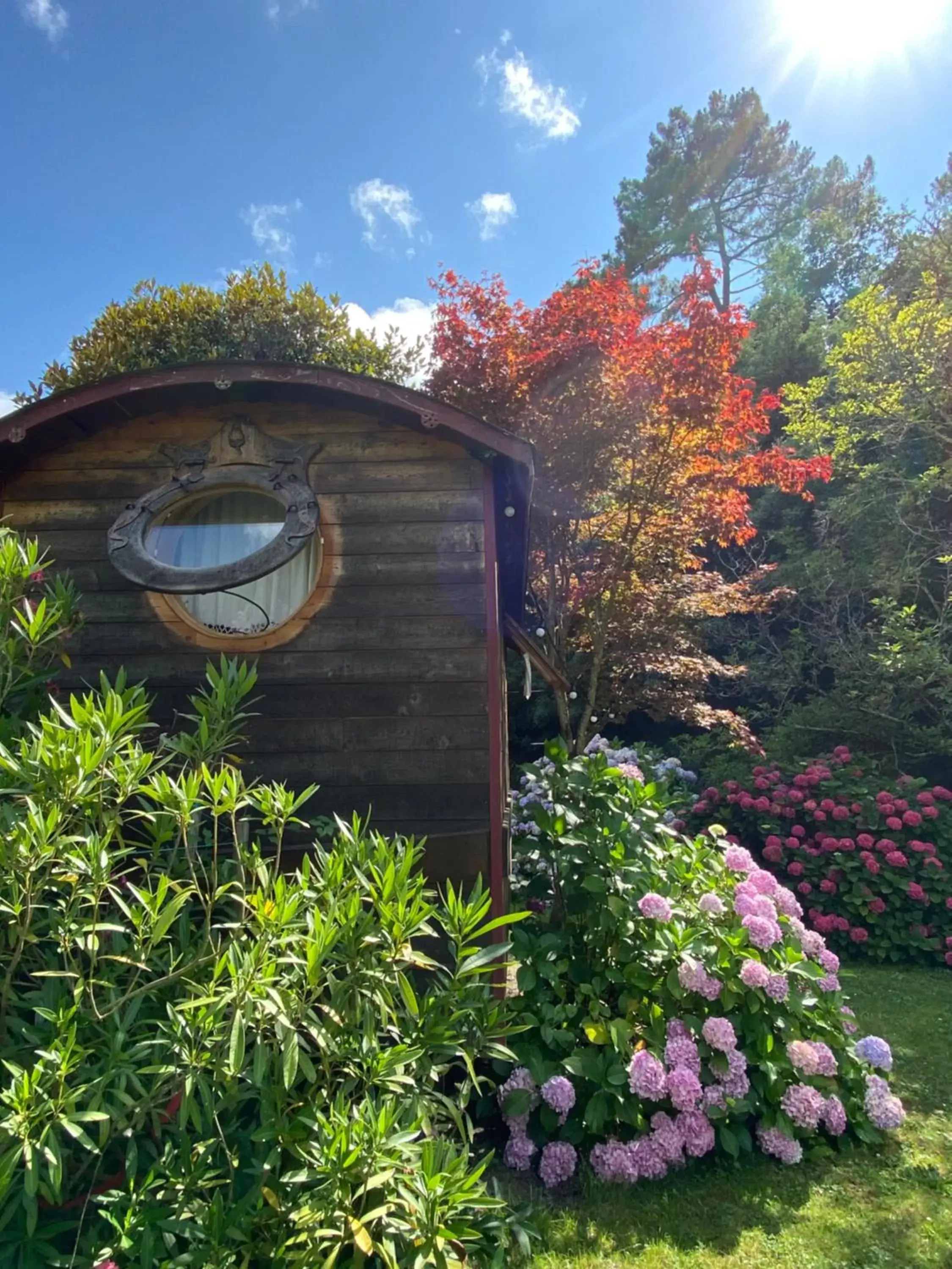 Garden, Property Building in Les jardins de Mimizan