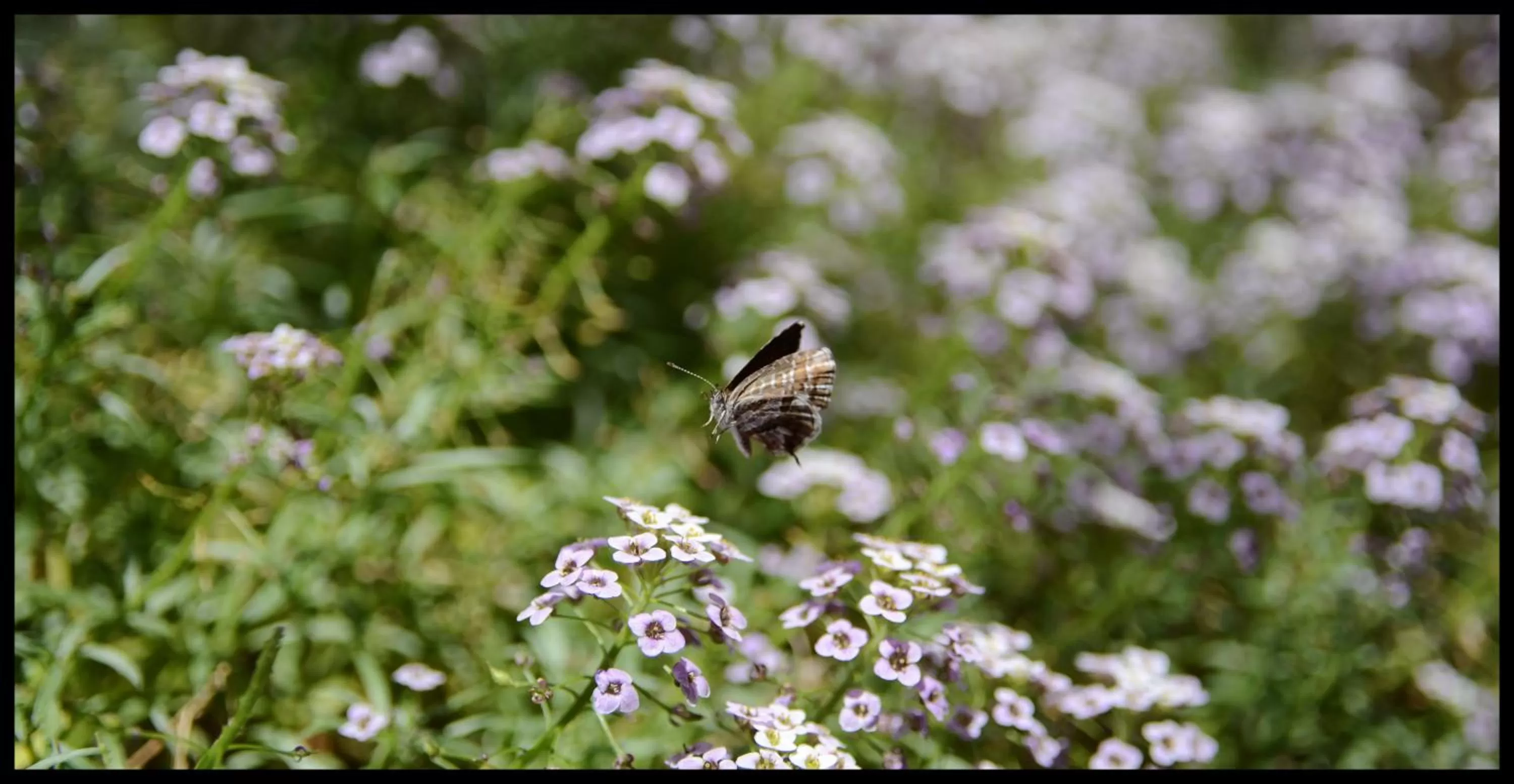 Decorative detail in Lilium Boutique Hotel