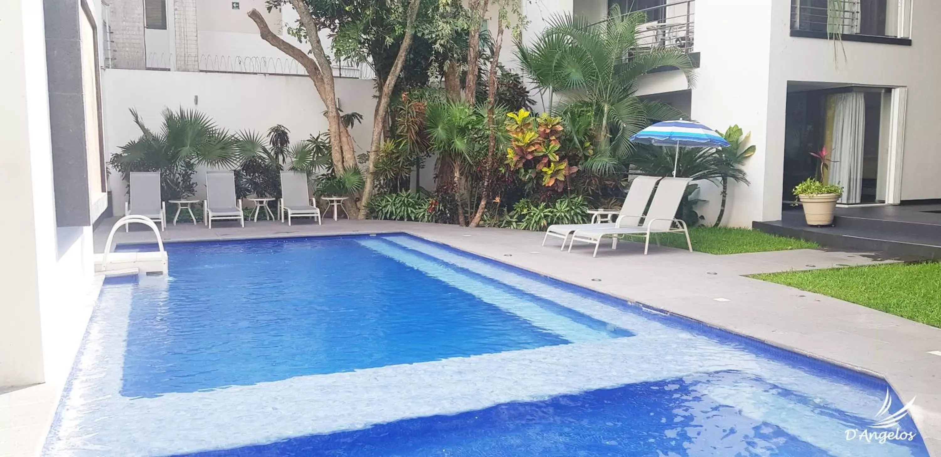 Swimming Pool in Dangelos Hotel on Fifth Avenue