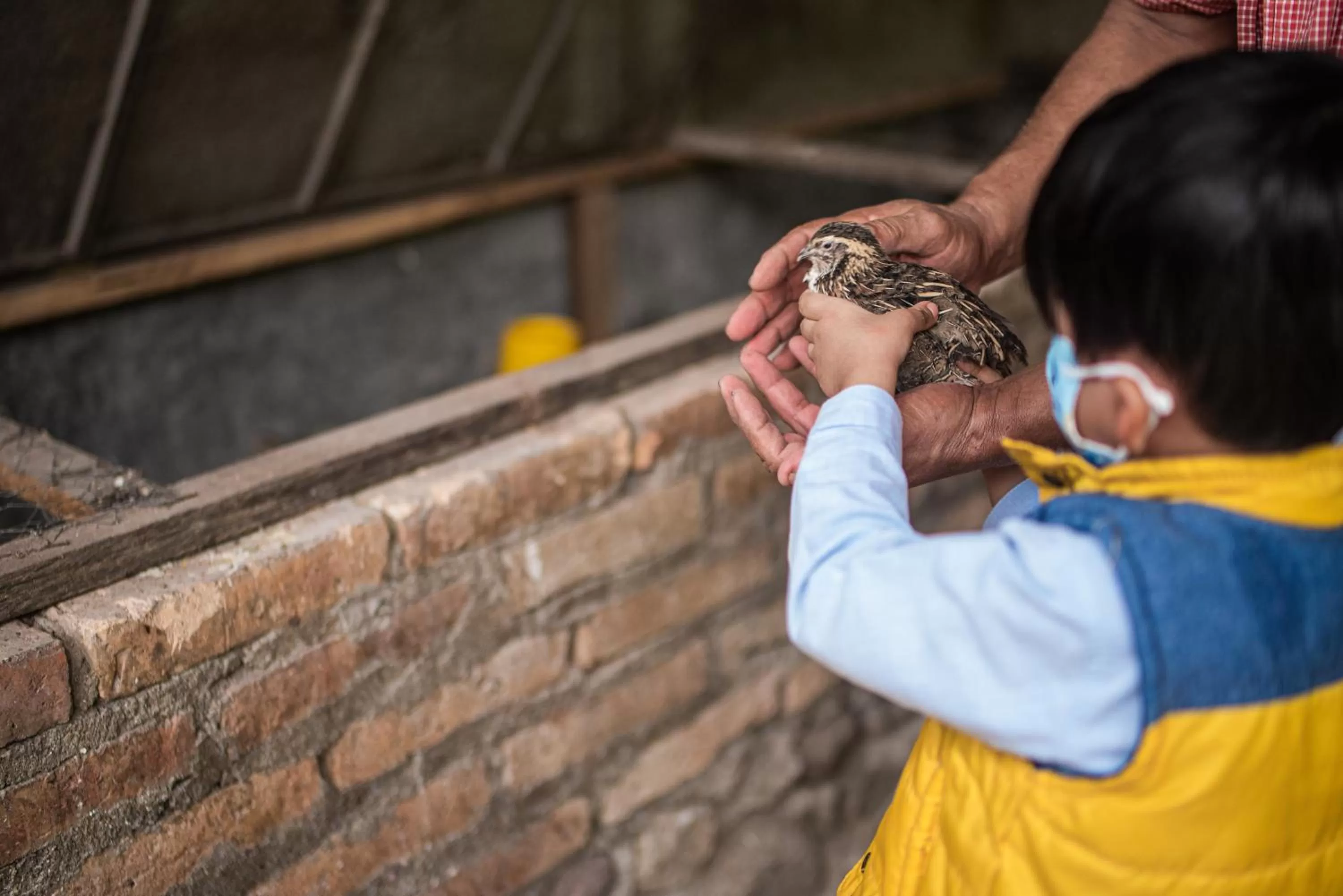 Activities in Hotel de Campo Villa de Ada