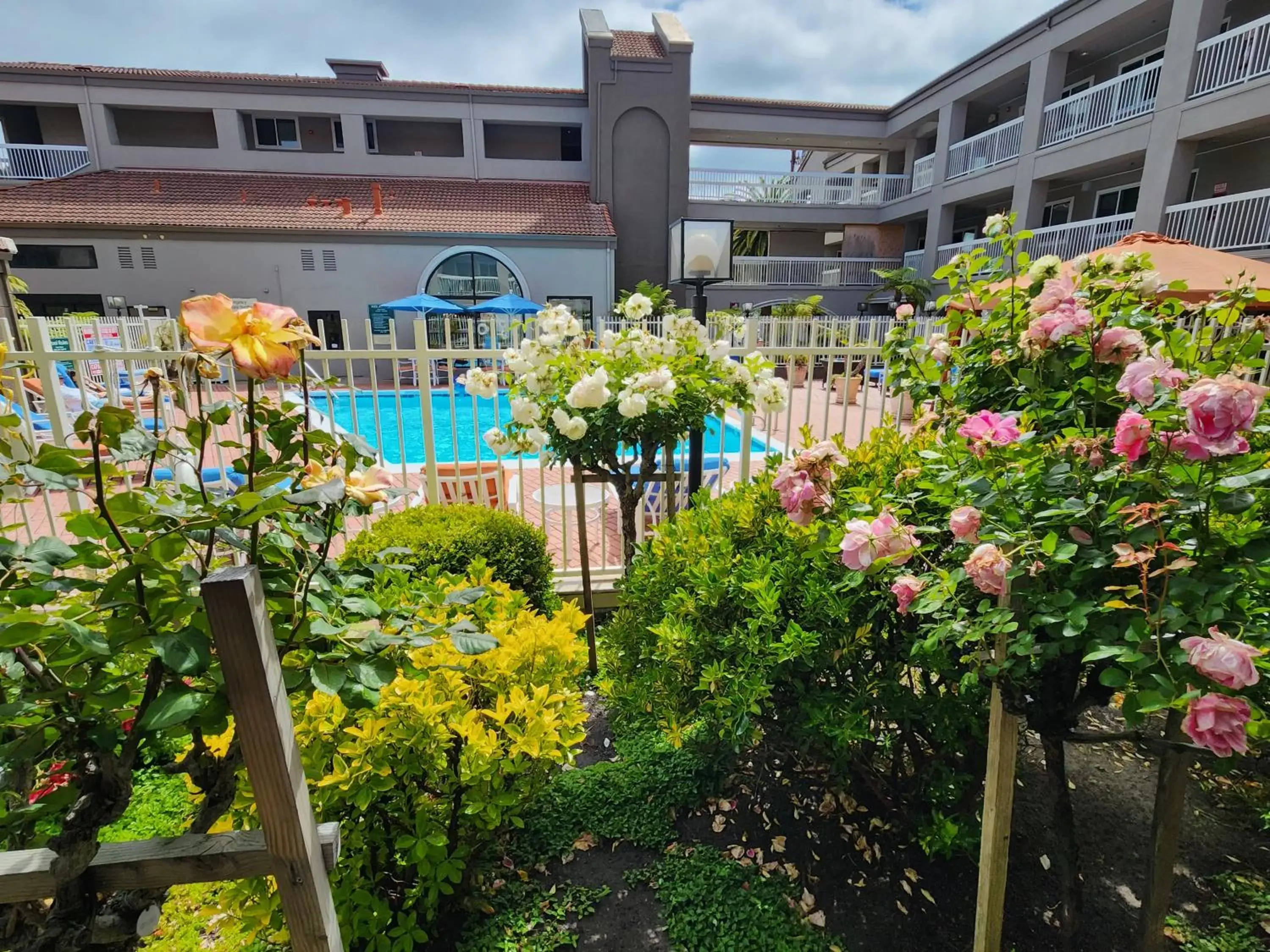 Pool View in La Quinta by Wyndham San Francisco Airport West