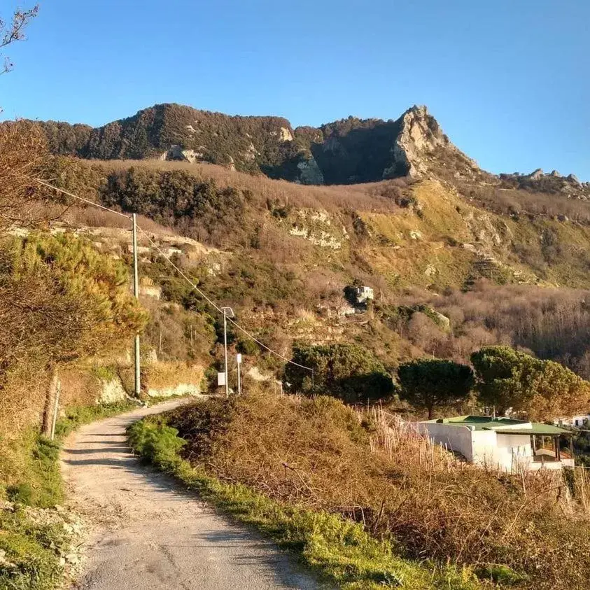 Natural landscape, Mountain View in Villa Thomas BB