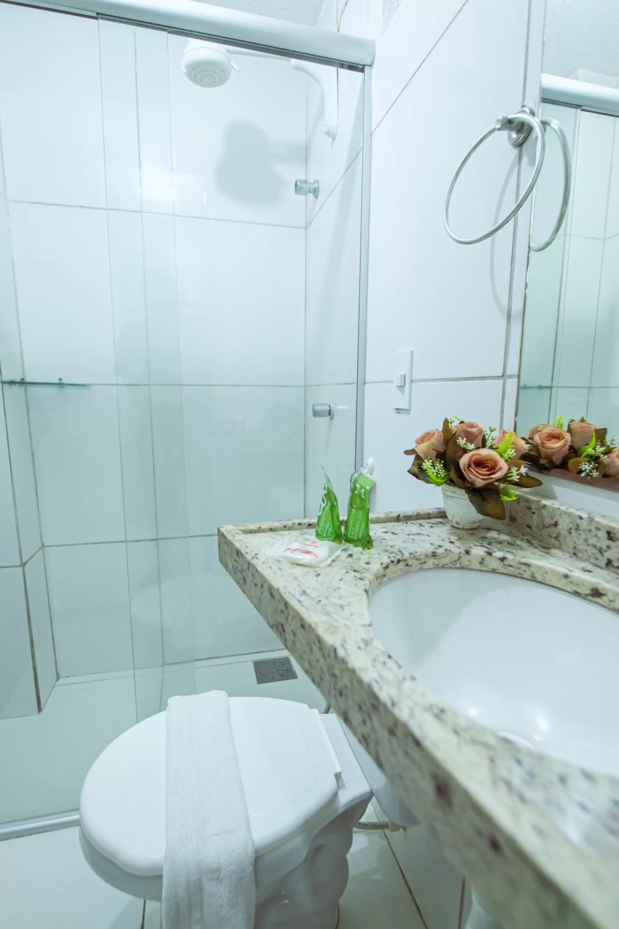 Bathroom in Hotel Rotorua inn Fortaleza - Beira Mar