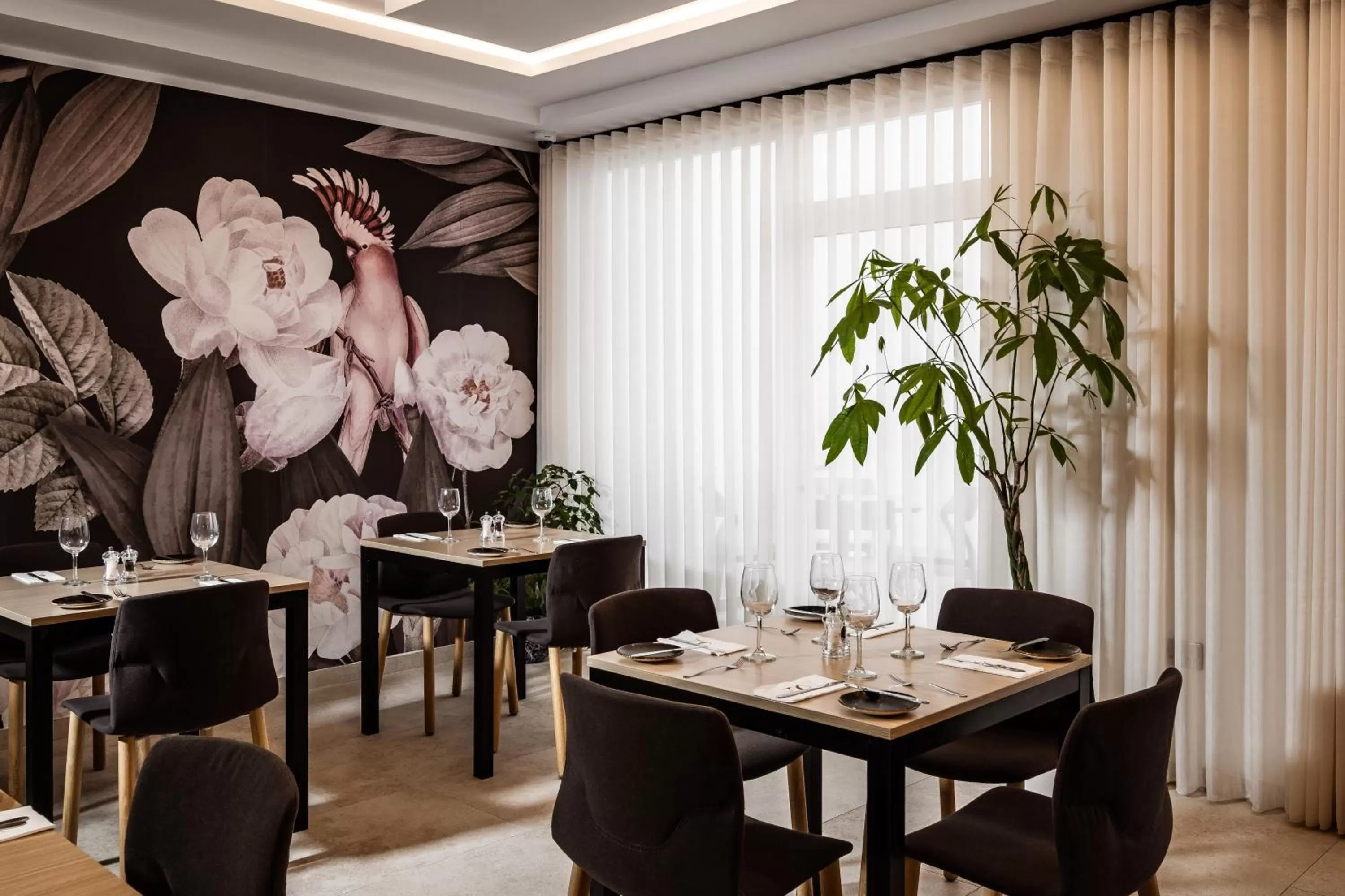 Restaurant/places to eat in The Segond Hotel