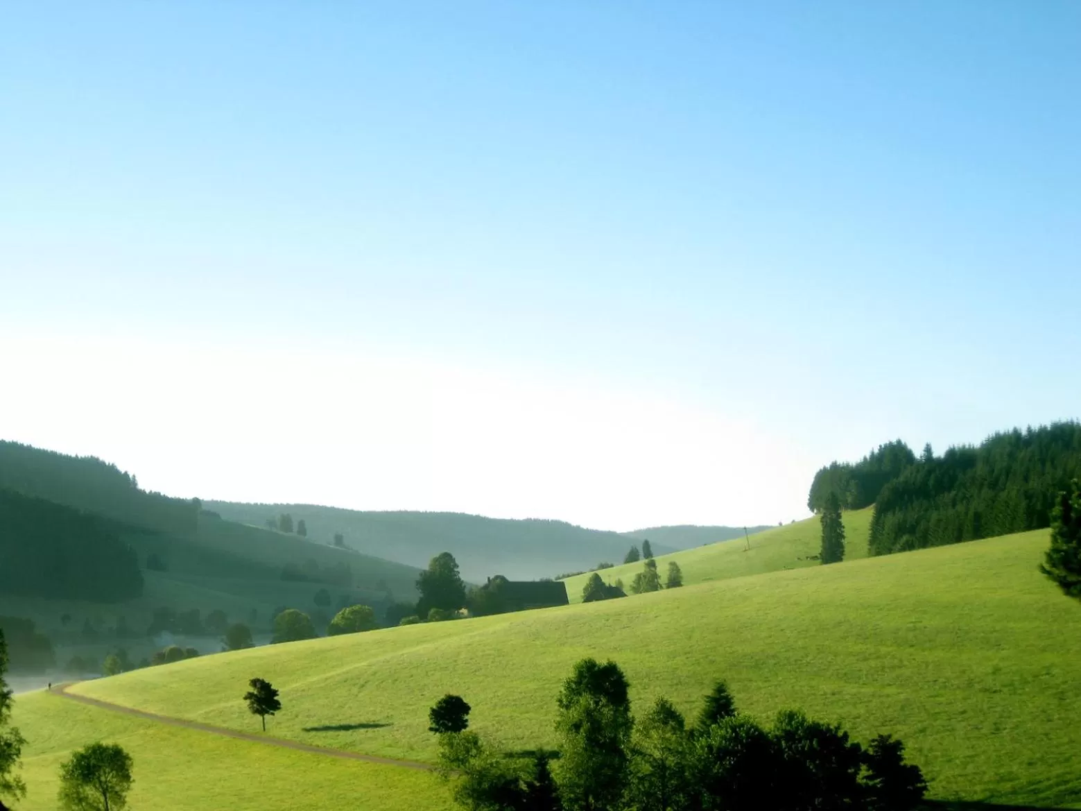 Natural landscape in ZUR TRAUBE Schwarzwaldhotel & Restaurant am Titisee