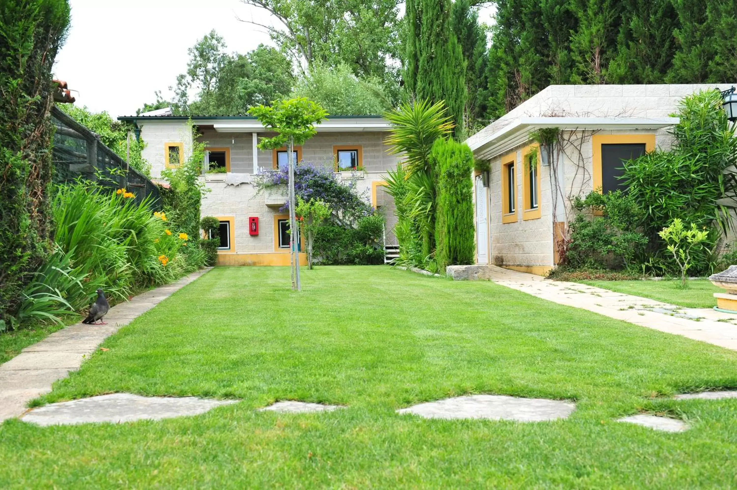 Garden, Property Building in Hotel Casa da Nora