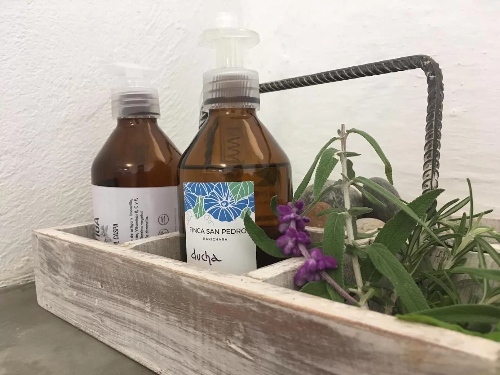 Bathroom in Finca San Pedro