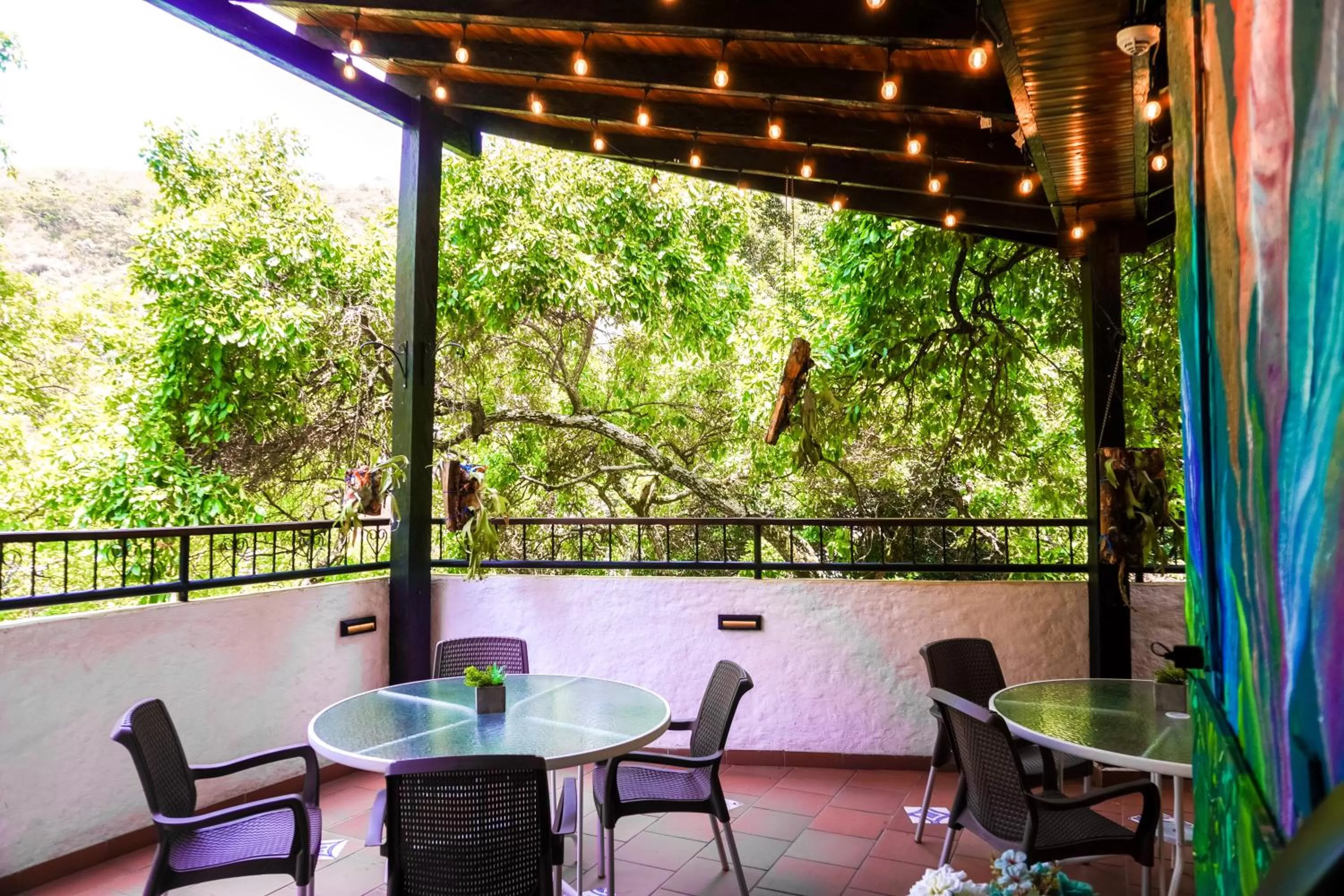 View (from property/room) in Casa del Hidalgo Hotel Cali Centenario