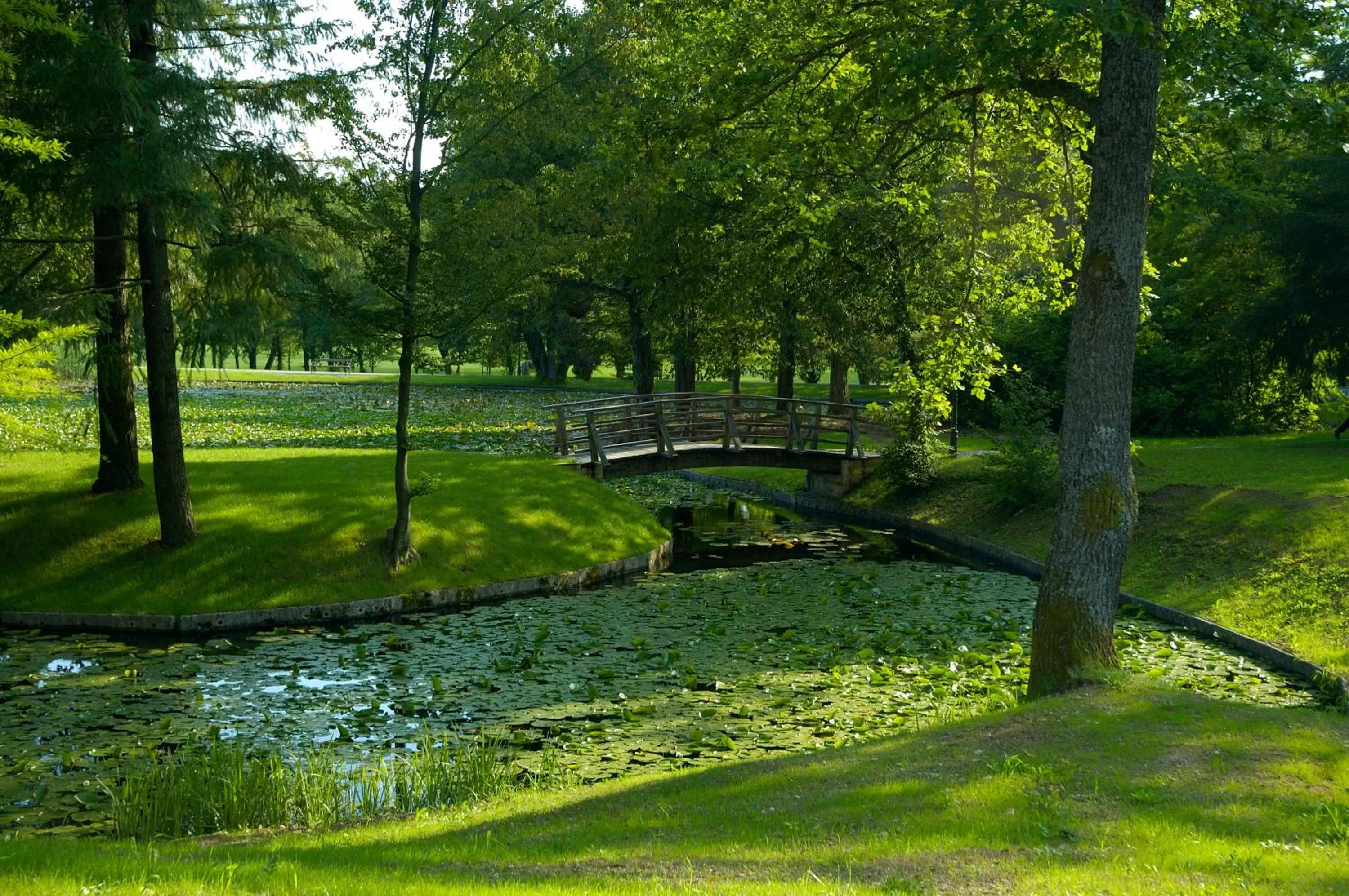 Garden in Elegans Hotel Brdo