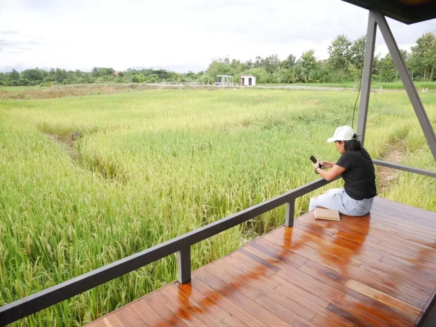 Garden in Nok Chan Mee Na