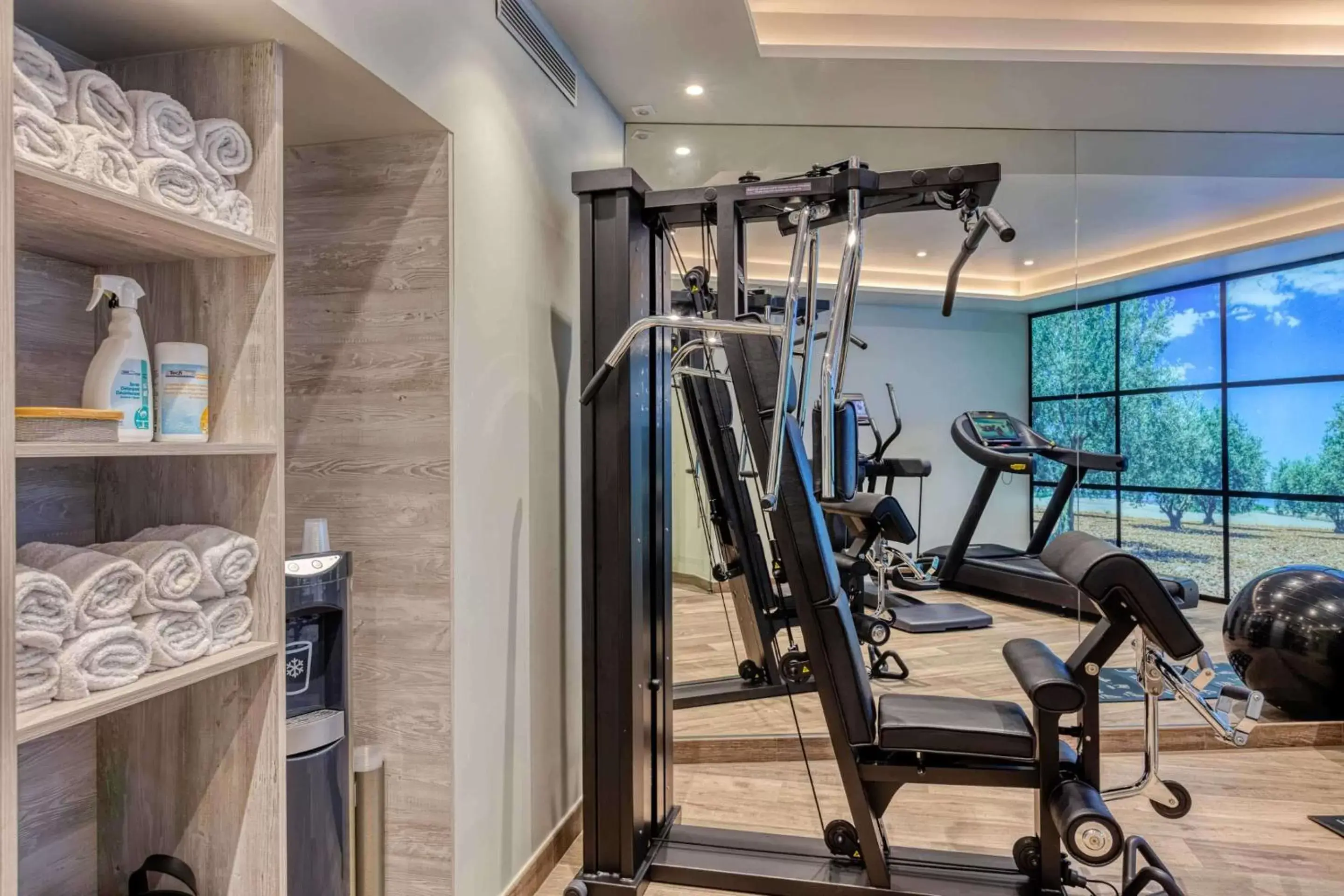 Fitness centre/facilities, Fitness Center/Facilities in Best Western Plus Le Lavarin