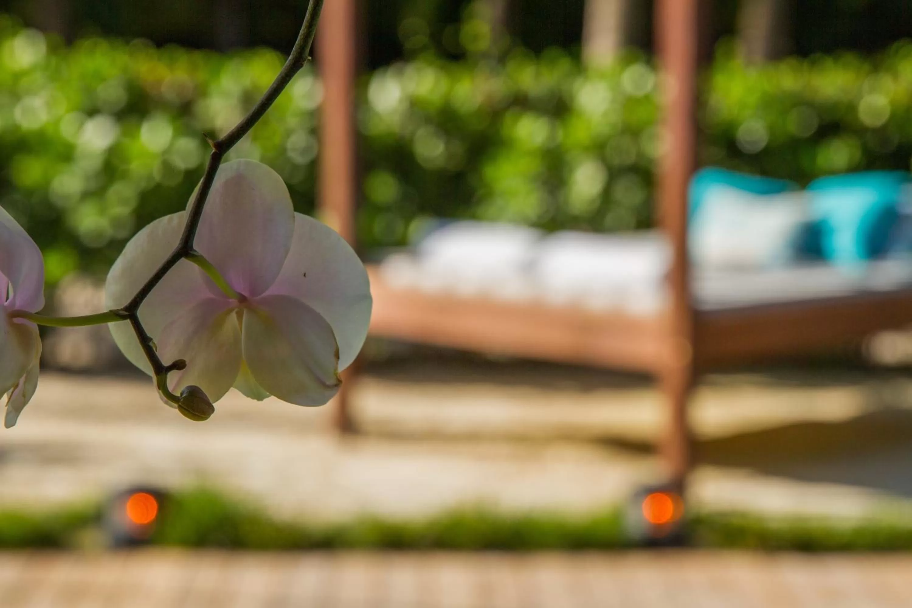 Other in Marseilles Beachfront Hotel