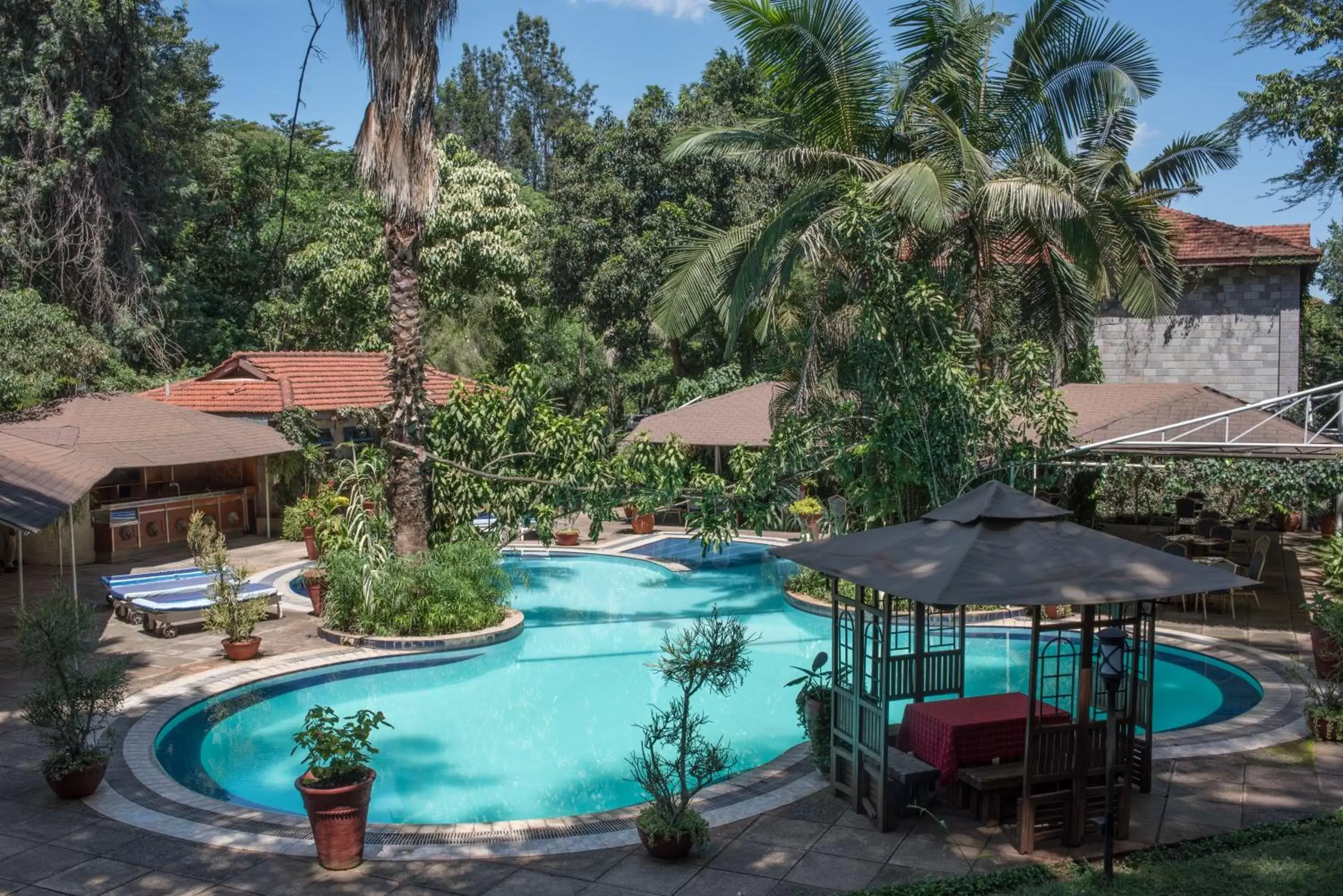 Swimming pool, Pool View in La Mada Hotel