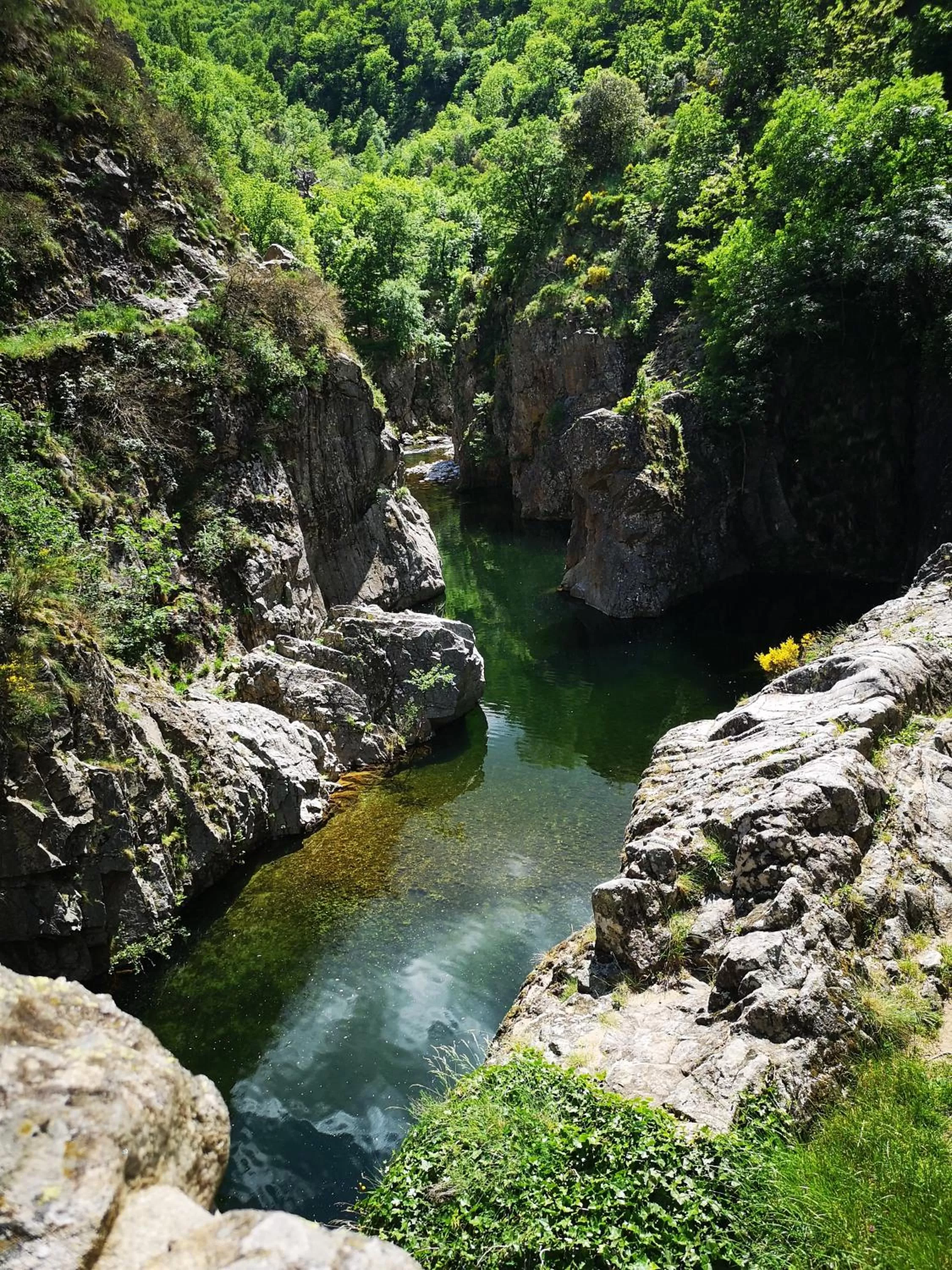 Natural landscape in Hôtel Le Ponson