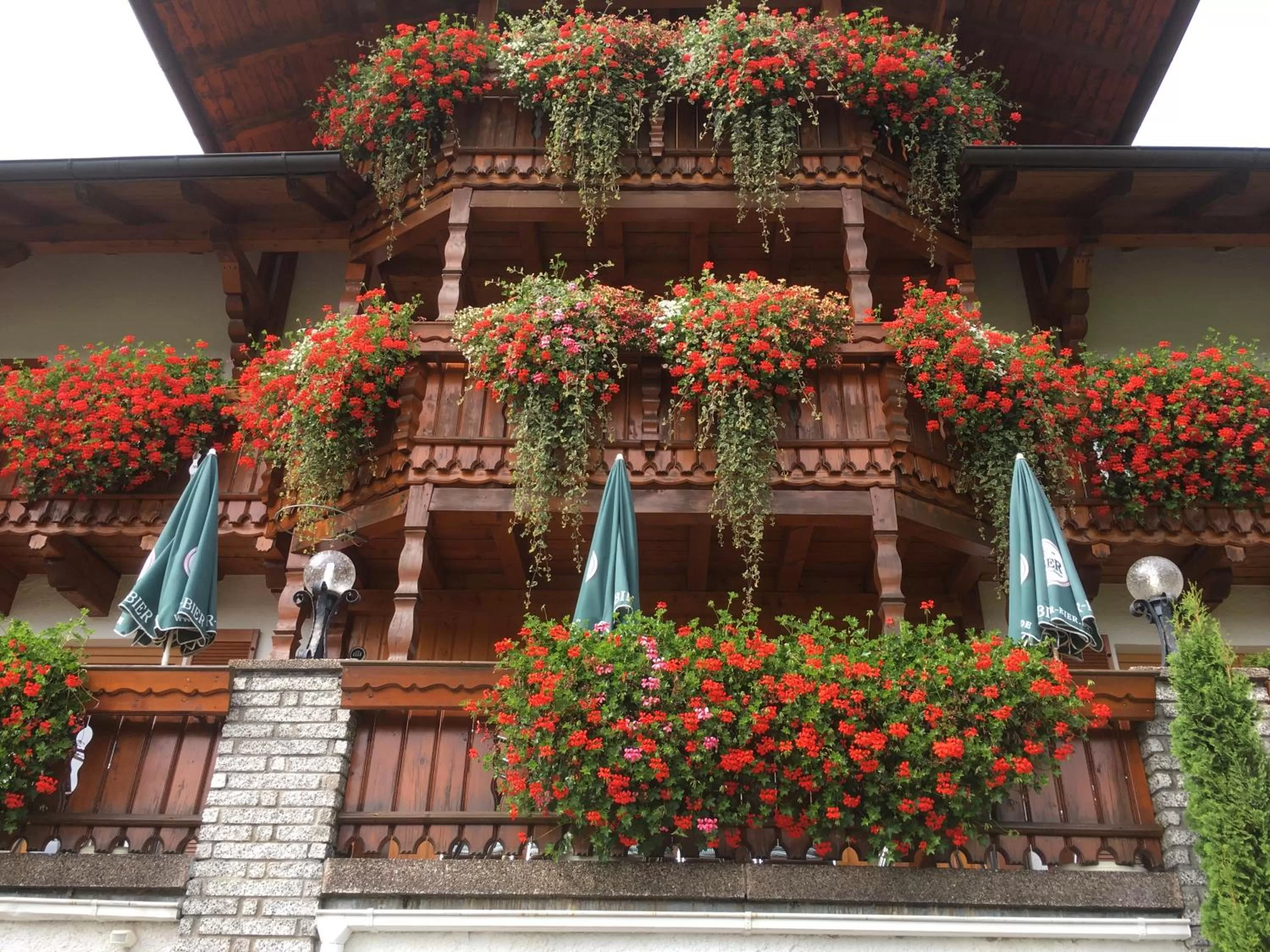Facade/entrance in GarniHotel - Arberblick