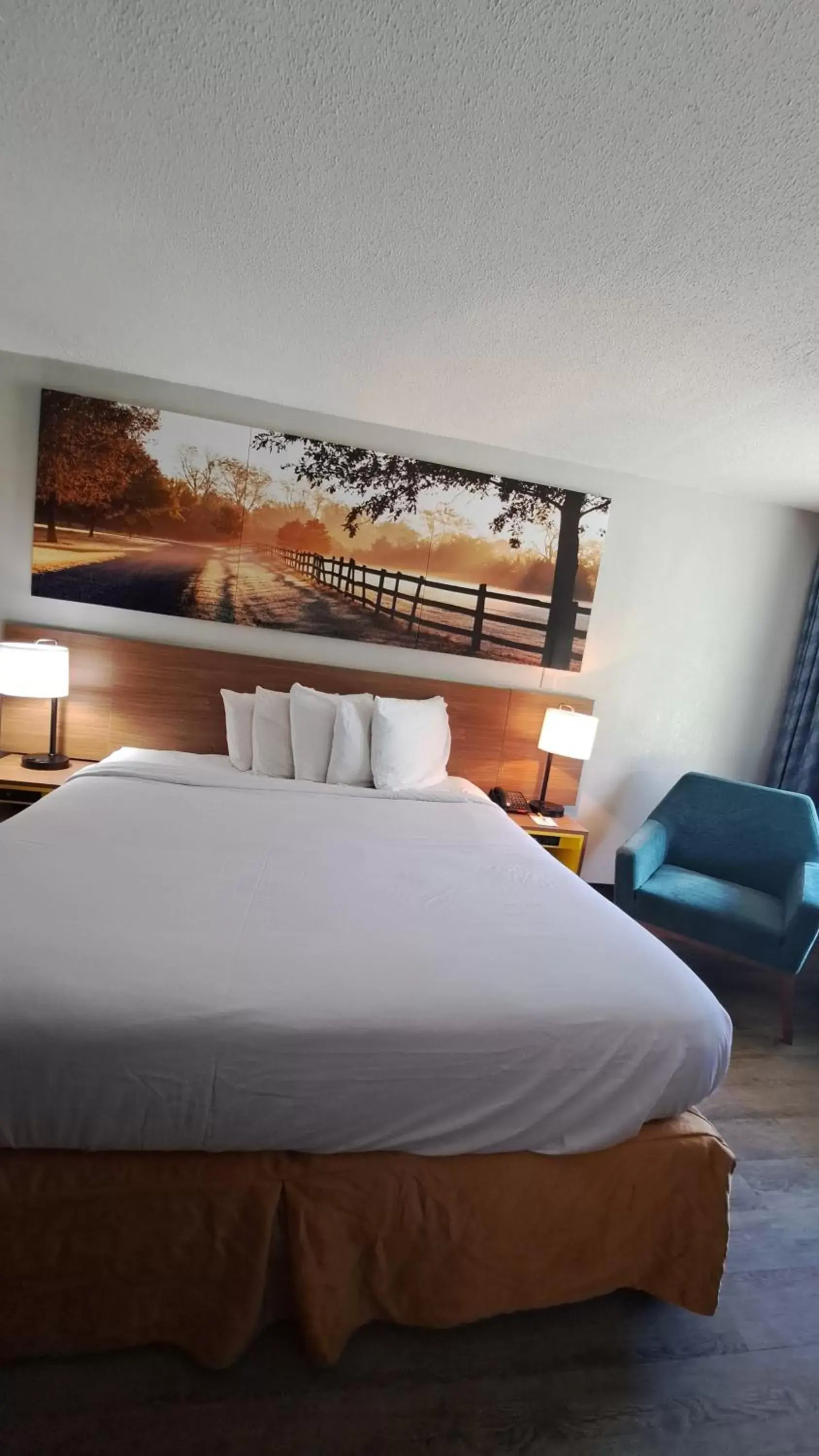 Bed in Days Inn & Suites by Wyndham Rocky Mount Golden East