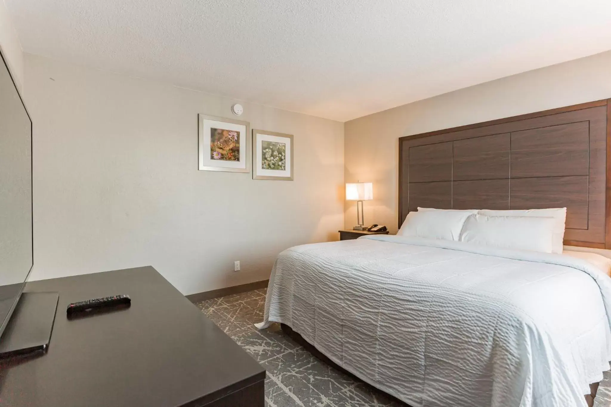 Bedroom, Bed in Orangewood Inn & Suites Kansas City Airport