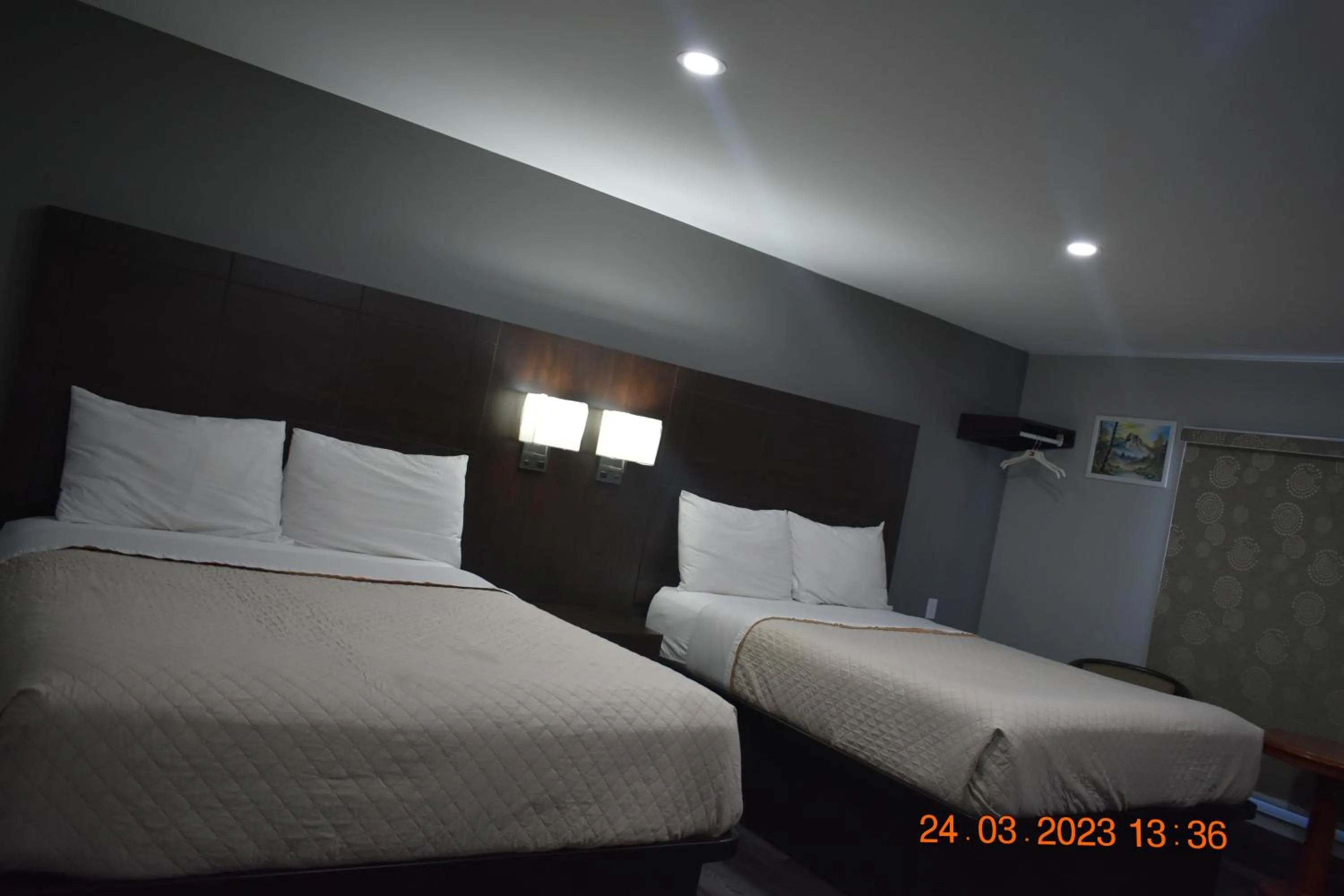 Bedroom in Time Travellers Motel