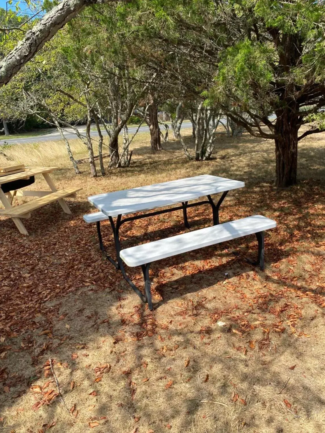 Seating area in Westhampton Seabreeze Motel