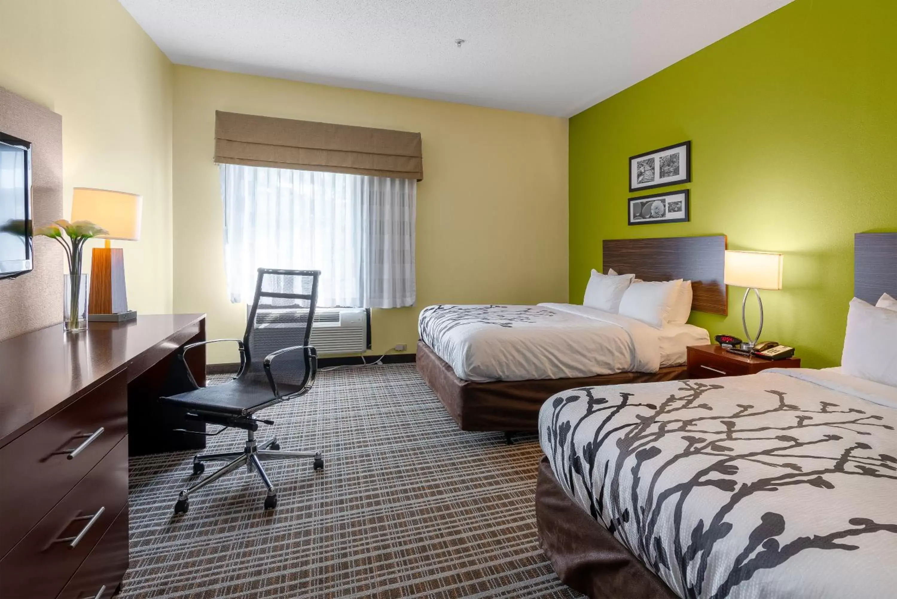 Queen Room with Two Queen Beds - Non-Smoking in Sleep Inn & Suites Harbour Pointe Midlothian
