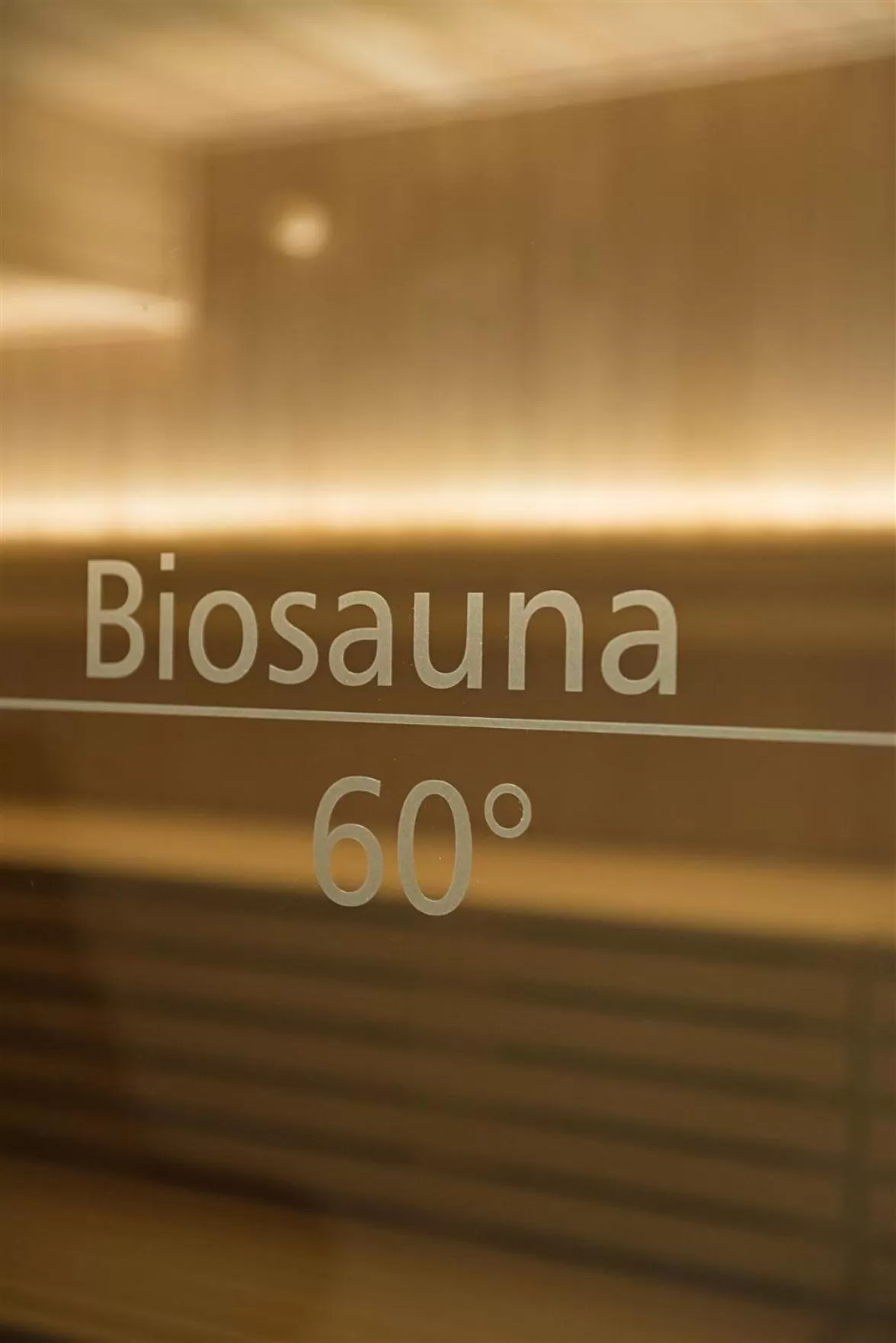 Sauna in Hotel Traumblick