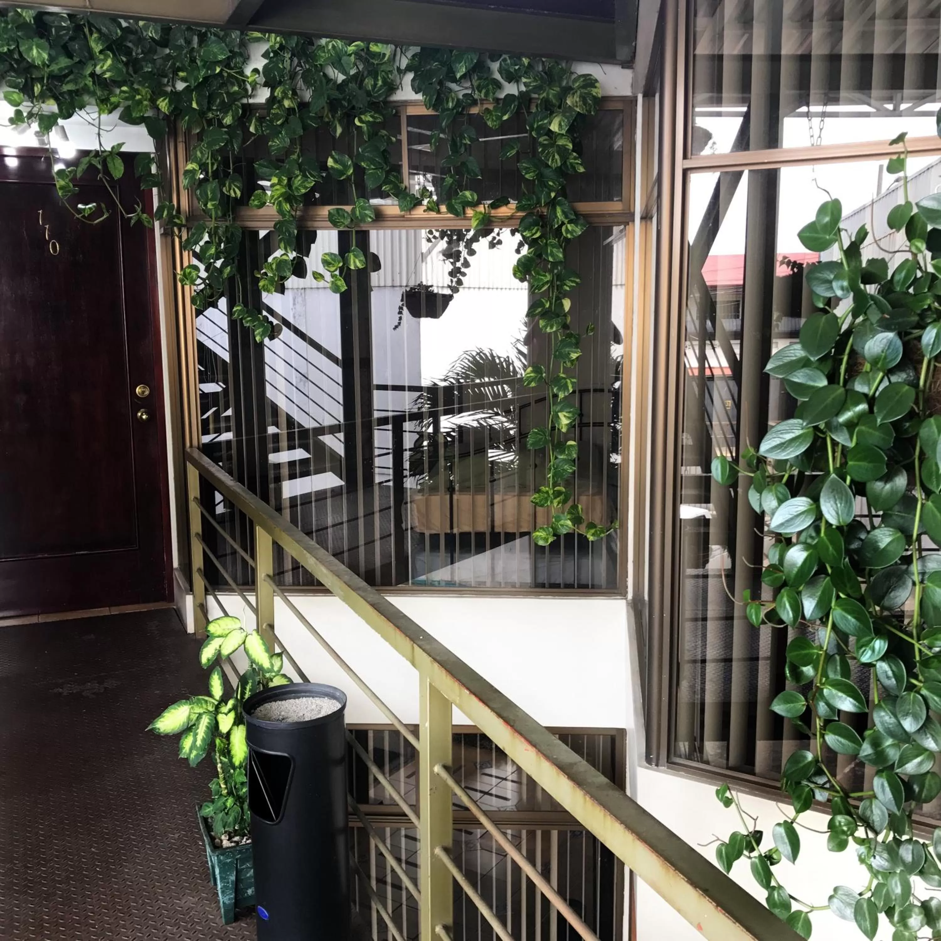 Area and facilities in Oro Apart Hotel