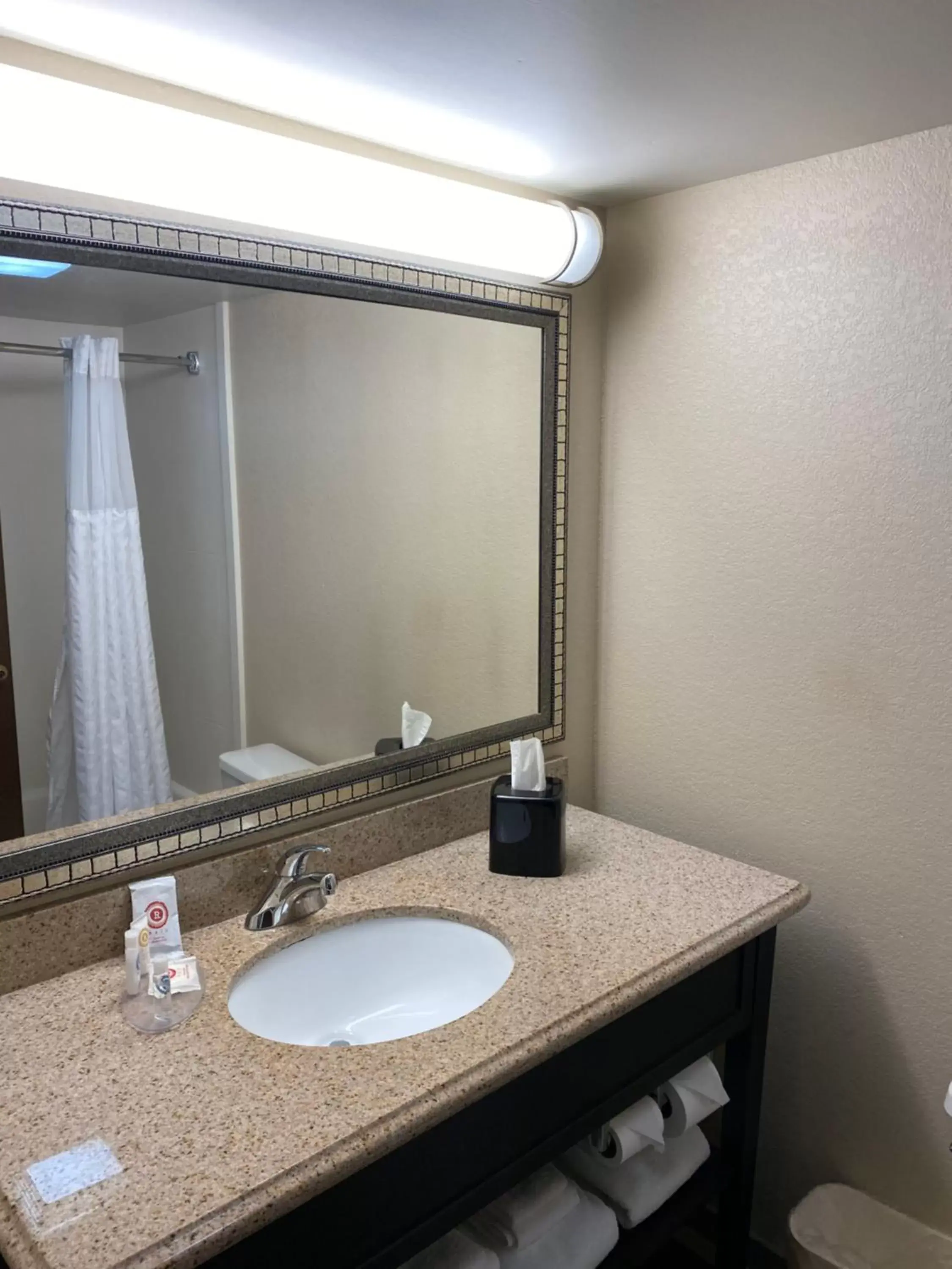 Bathroom in Comfort Inn Oak Ridge