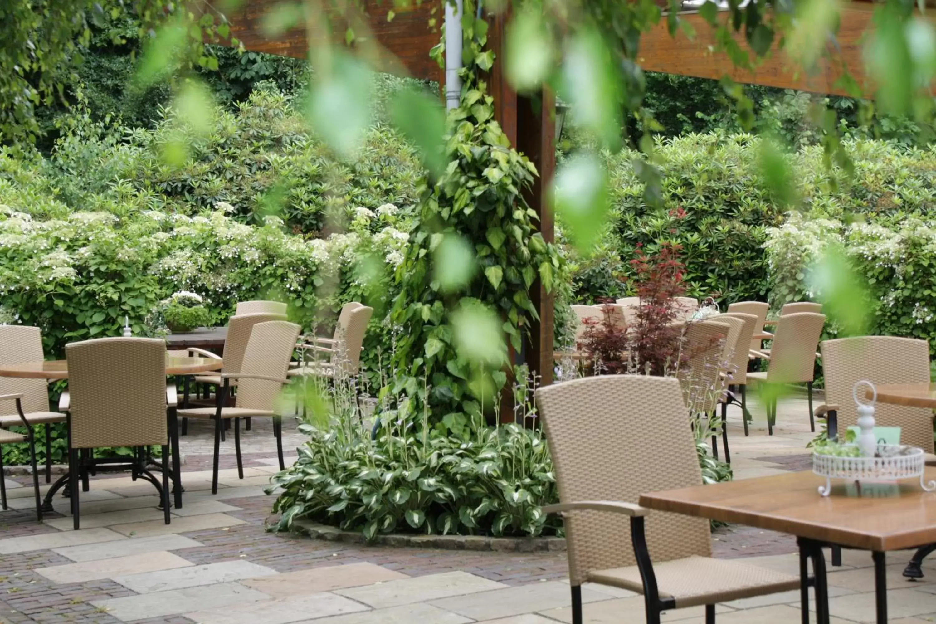 Garden, Restaurant/Places to Eat in Hotel Backenköhler